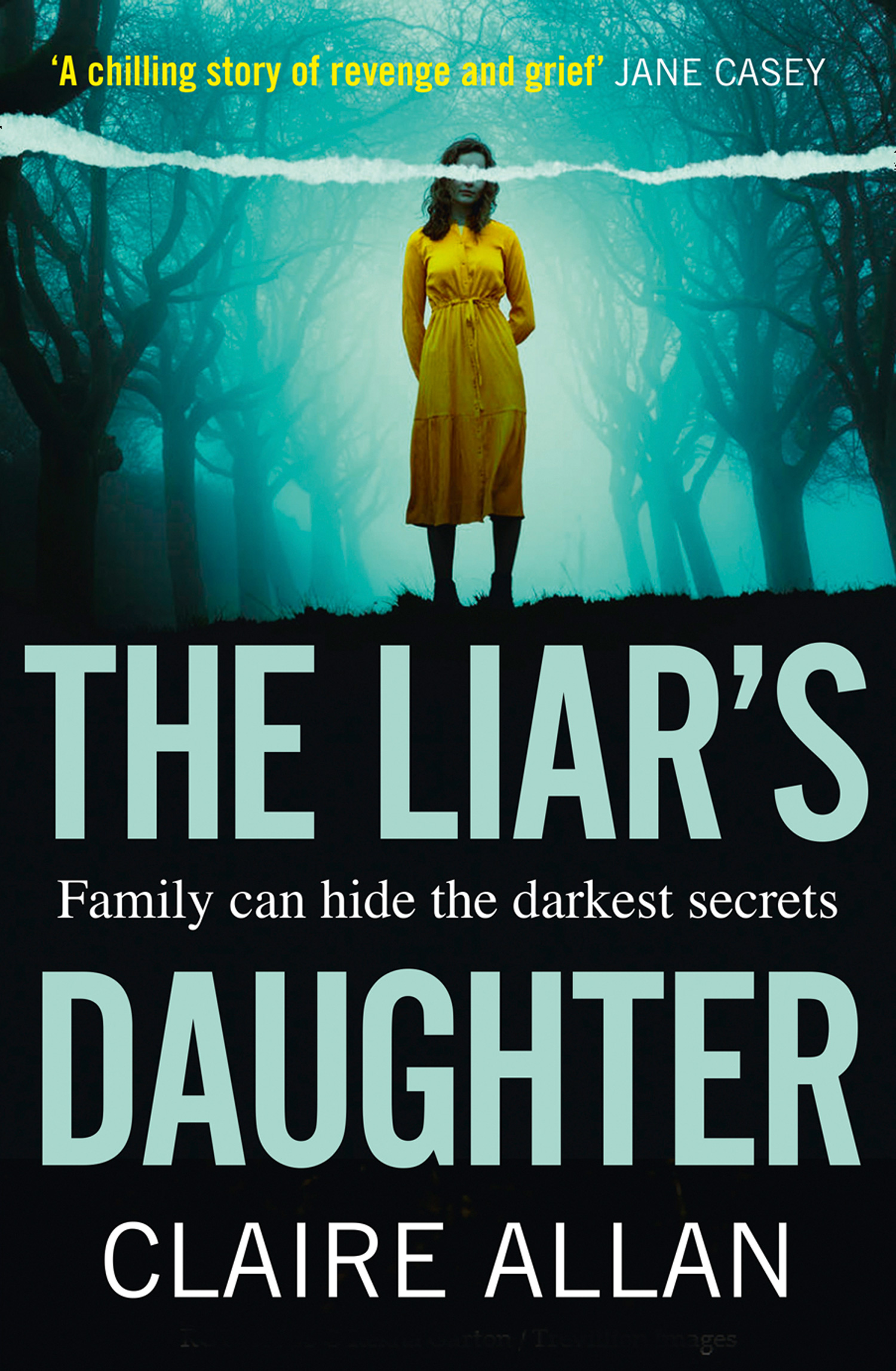 Обложка книги «The Liar’s Daughter»