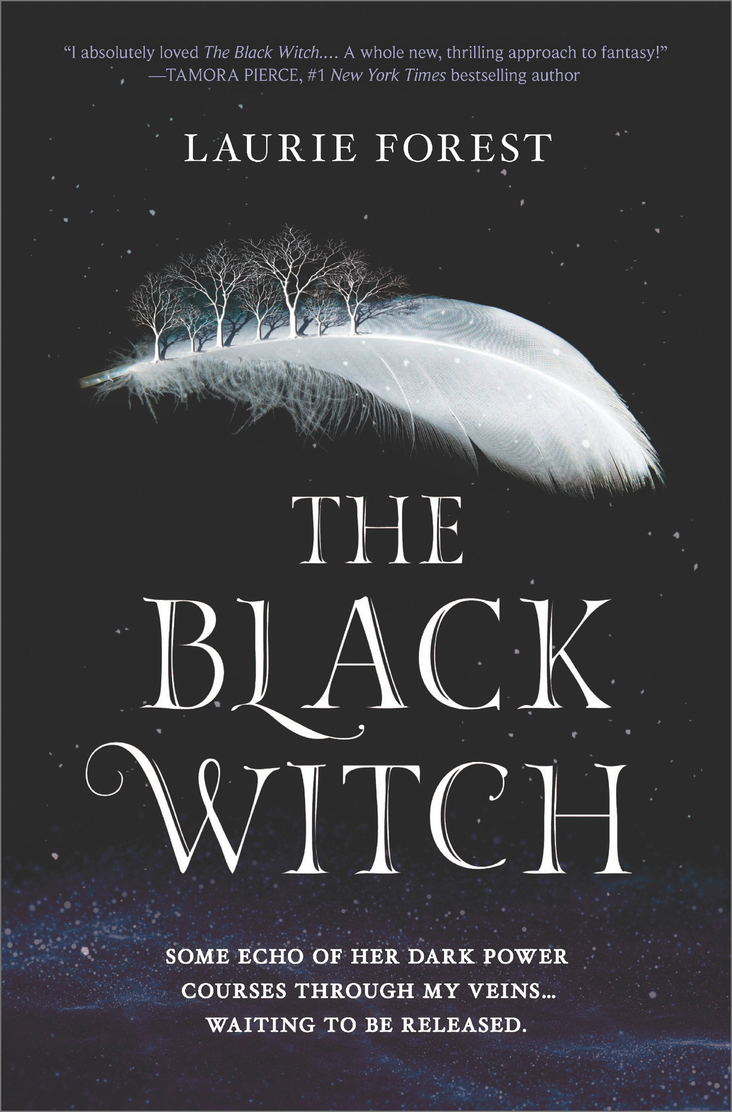Обложка книги «The Black Witch»