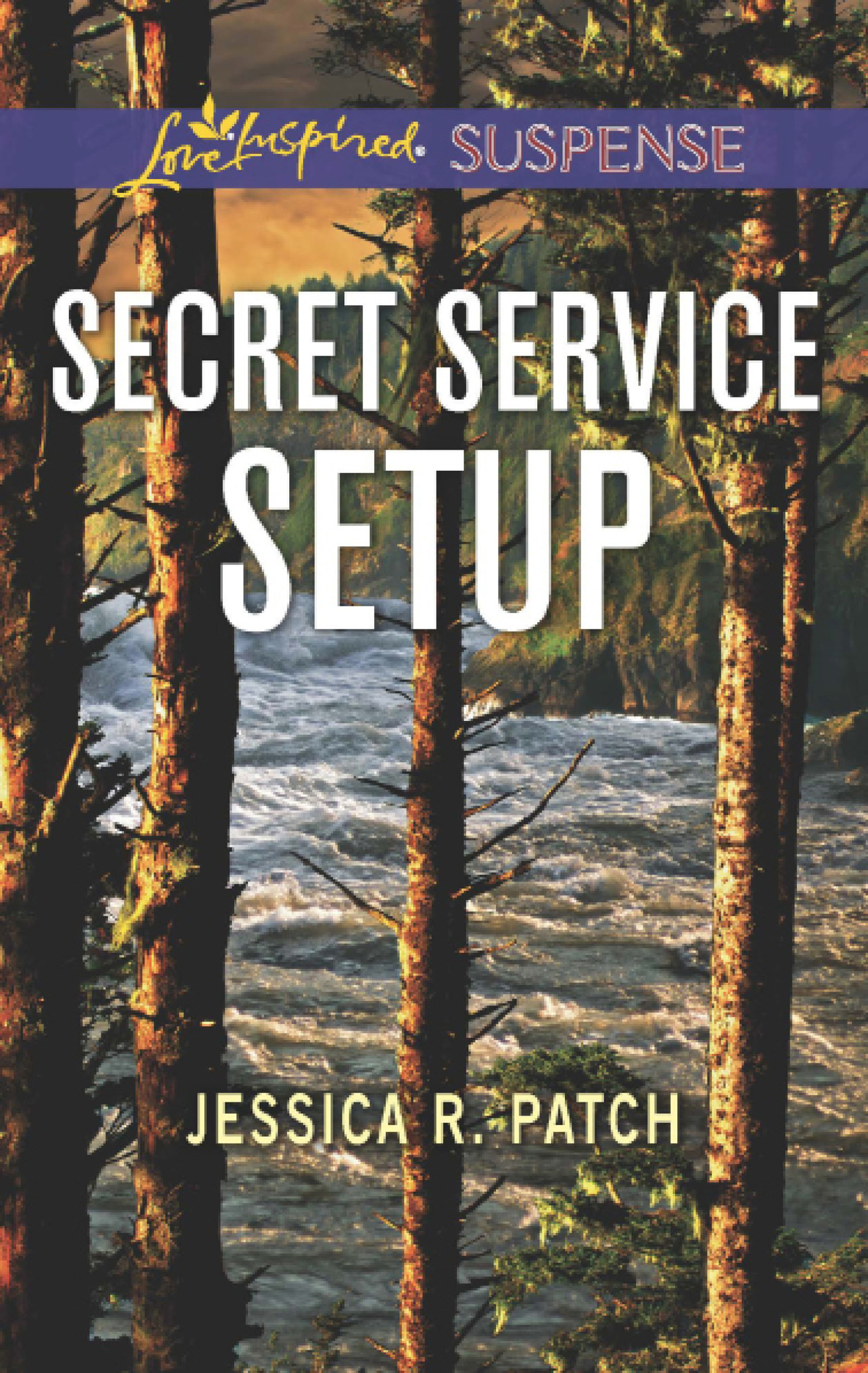 Обложка книги «Secret Service Setup»