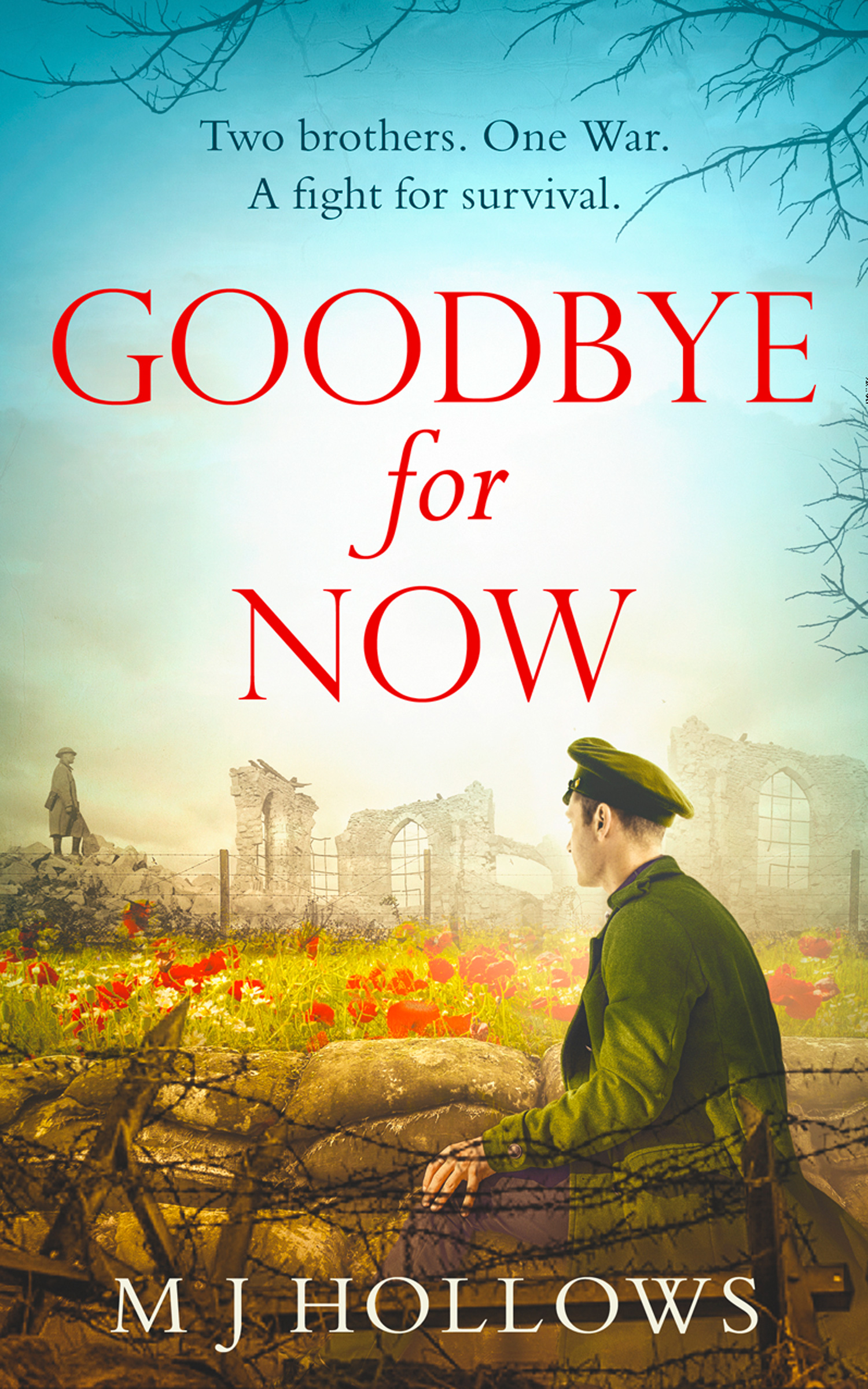 Обложка книги «Goodbye for Now»