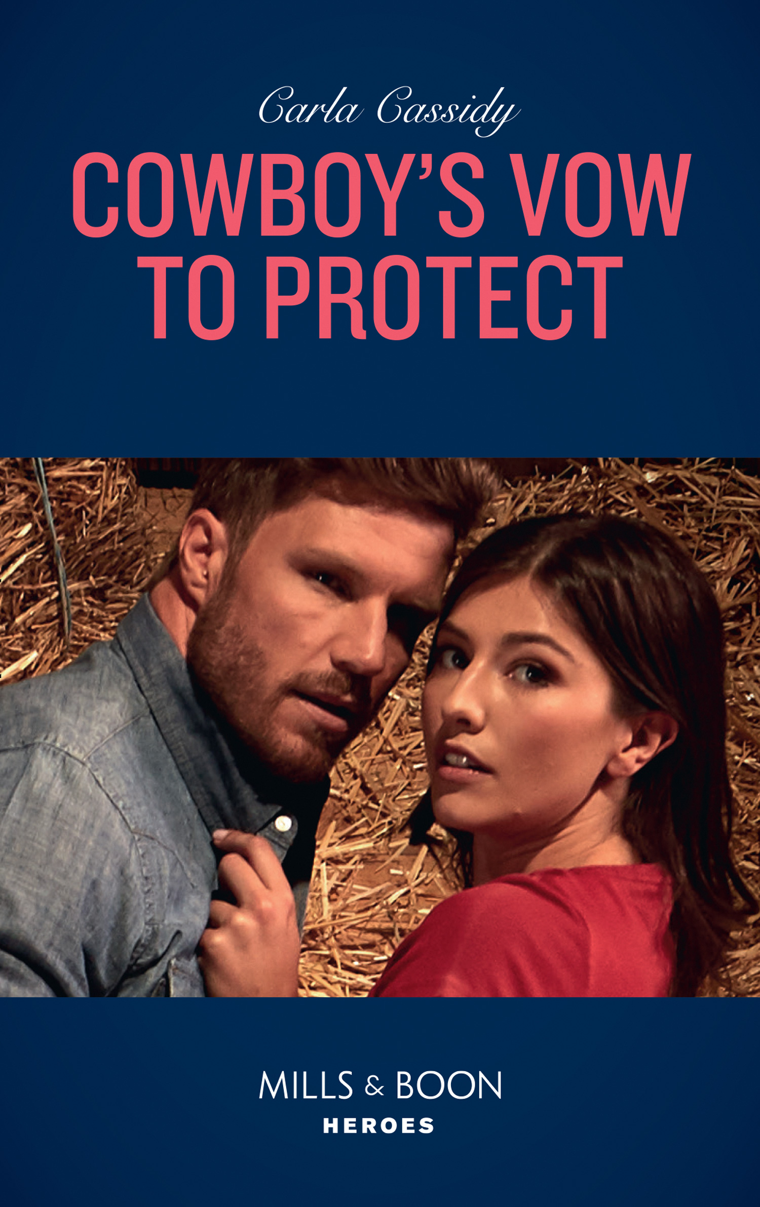 Обложка книги «Cowboy's Vow To Protect»