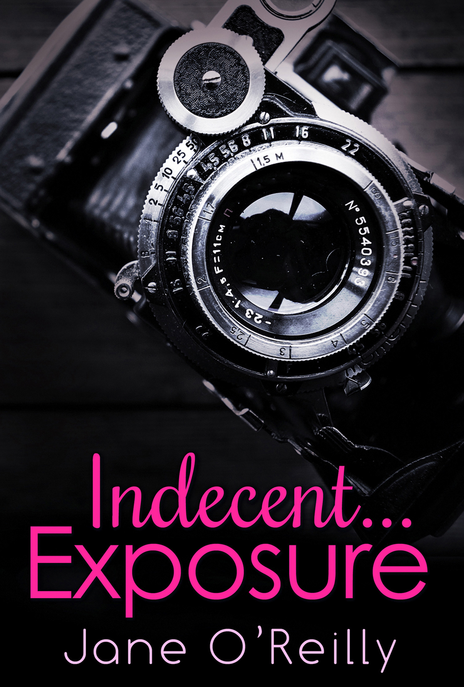 Обложка книги «Indecent...Exposure»