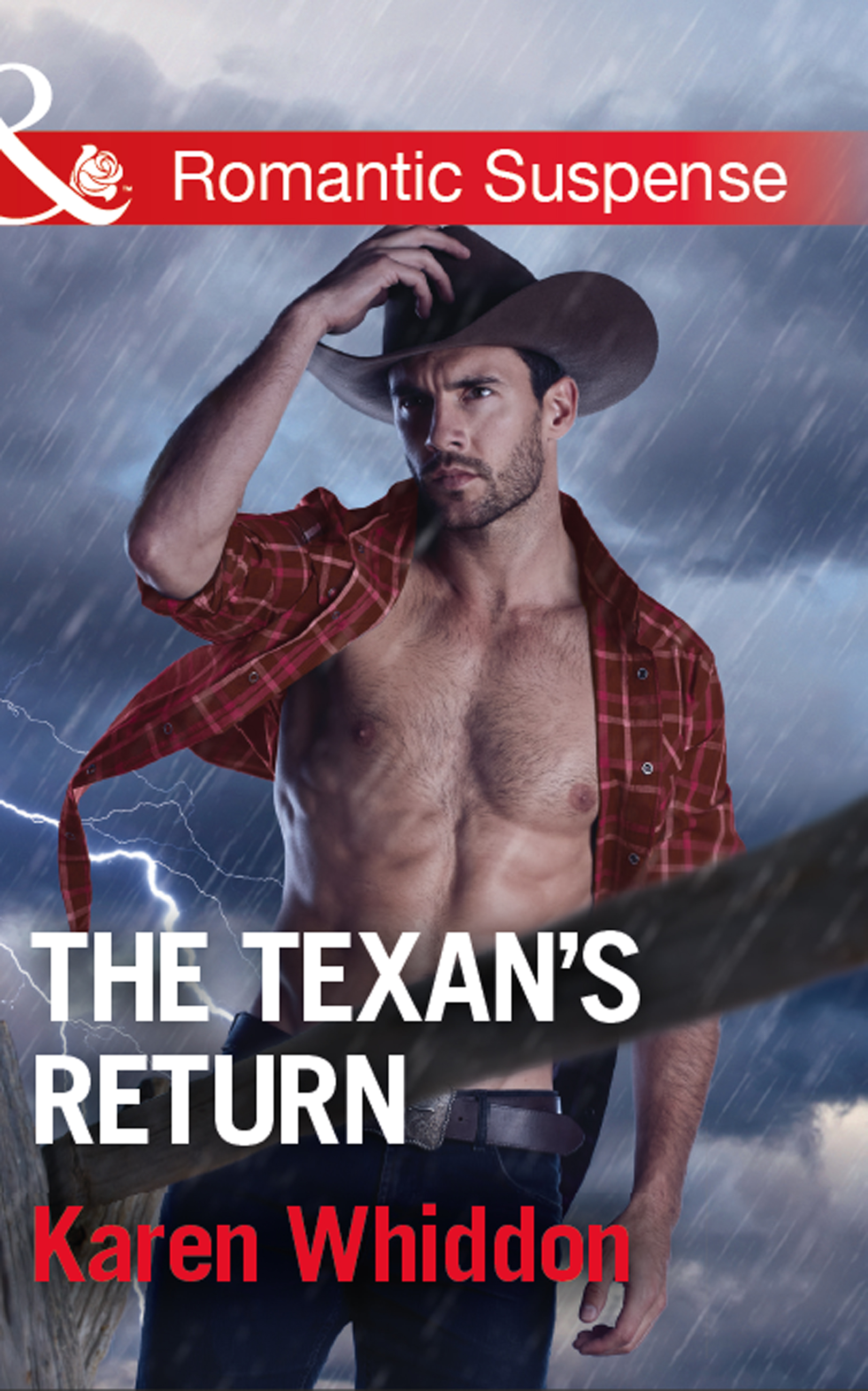 Обложка книги «The Texan's Return»