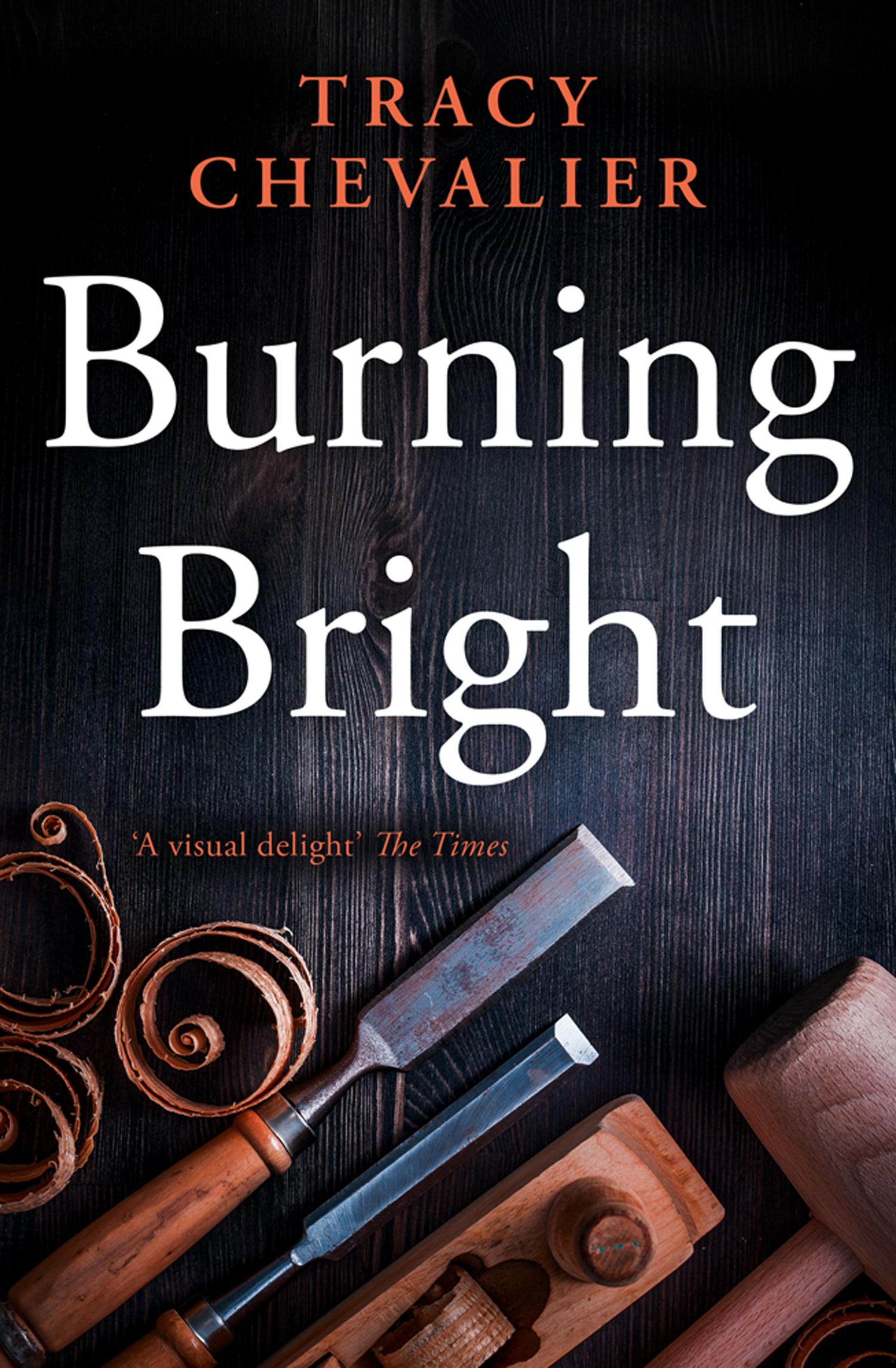 Обложка книги «Burning Bright»