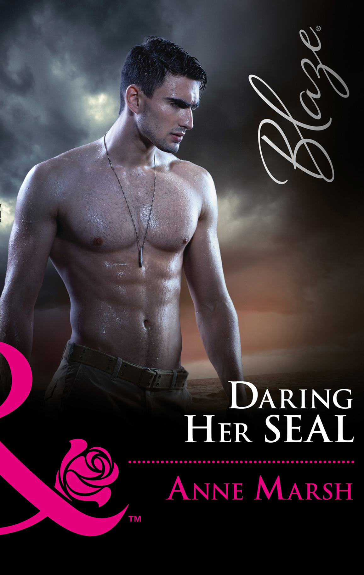 Обложка книги «Daring Her Seal»