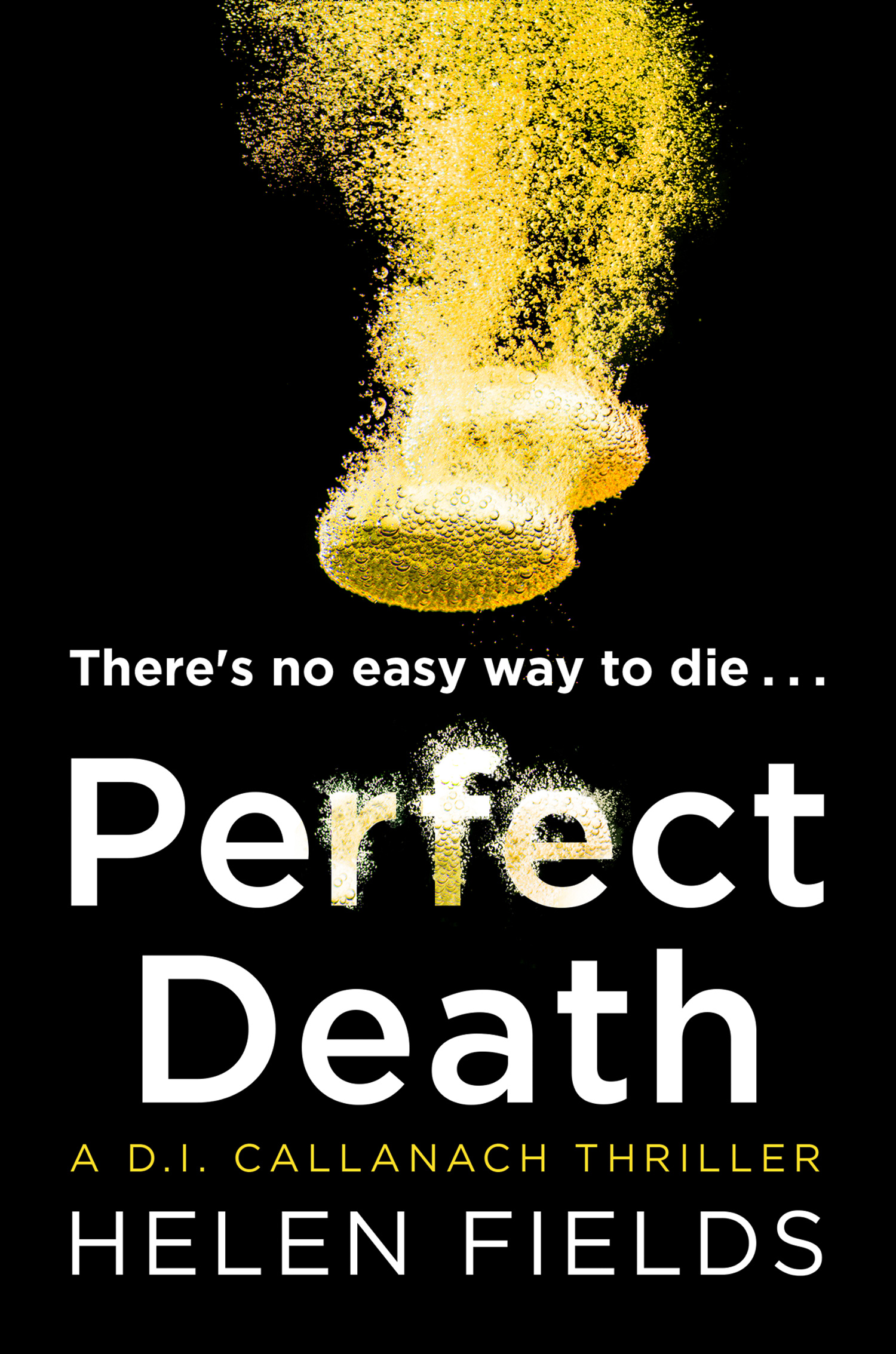 Обложка книги «Perfect Death»