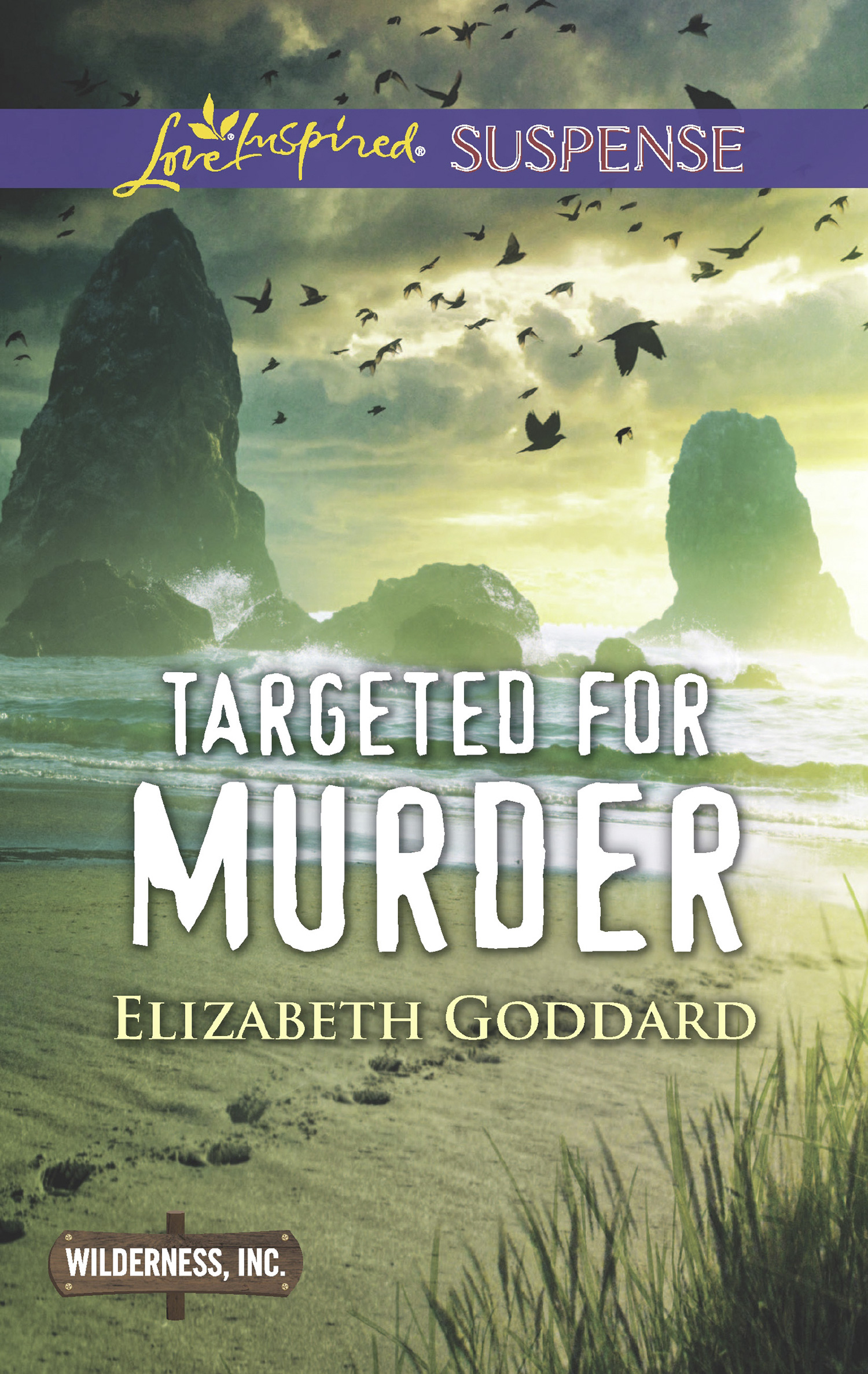 Обложка книги «Targeted For Murder»