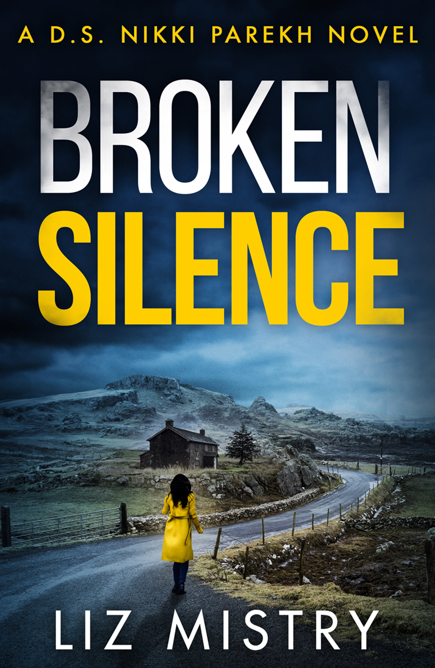 Обложка книги «Broken Silence»
