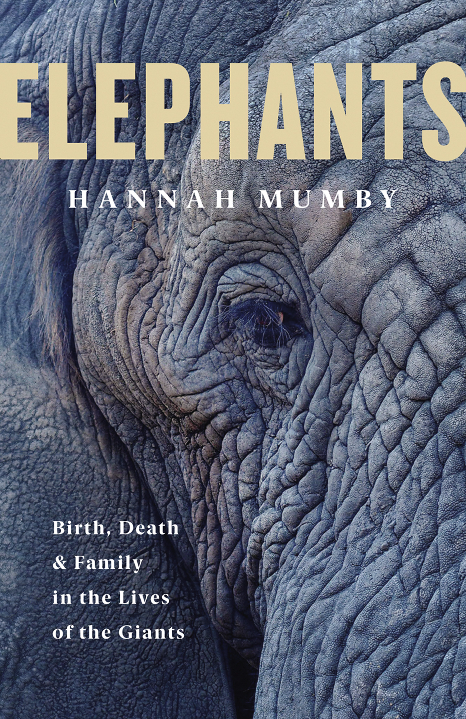 Обложка книги «The Secret Lives of Elephants»