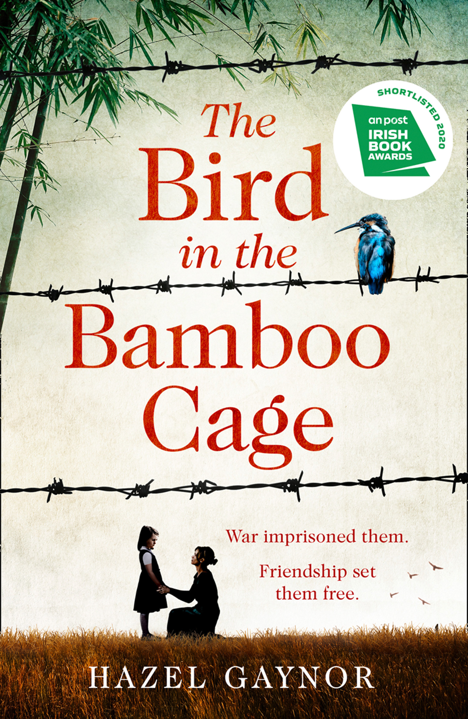 Обложка книги «The Bird in the Bamboo Cage»