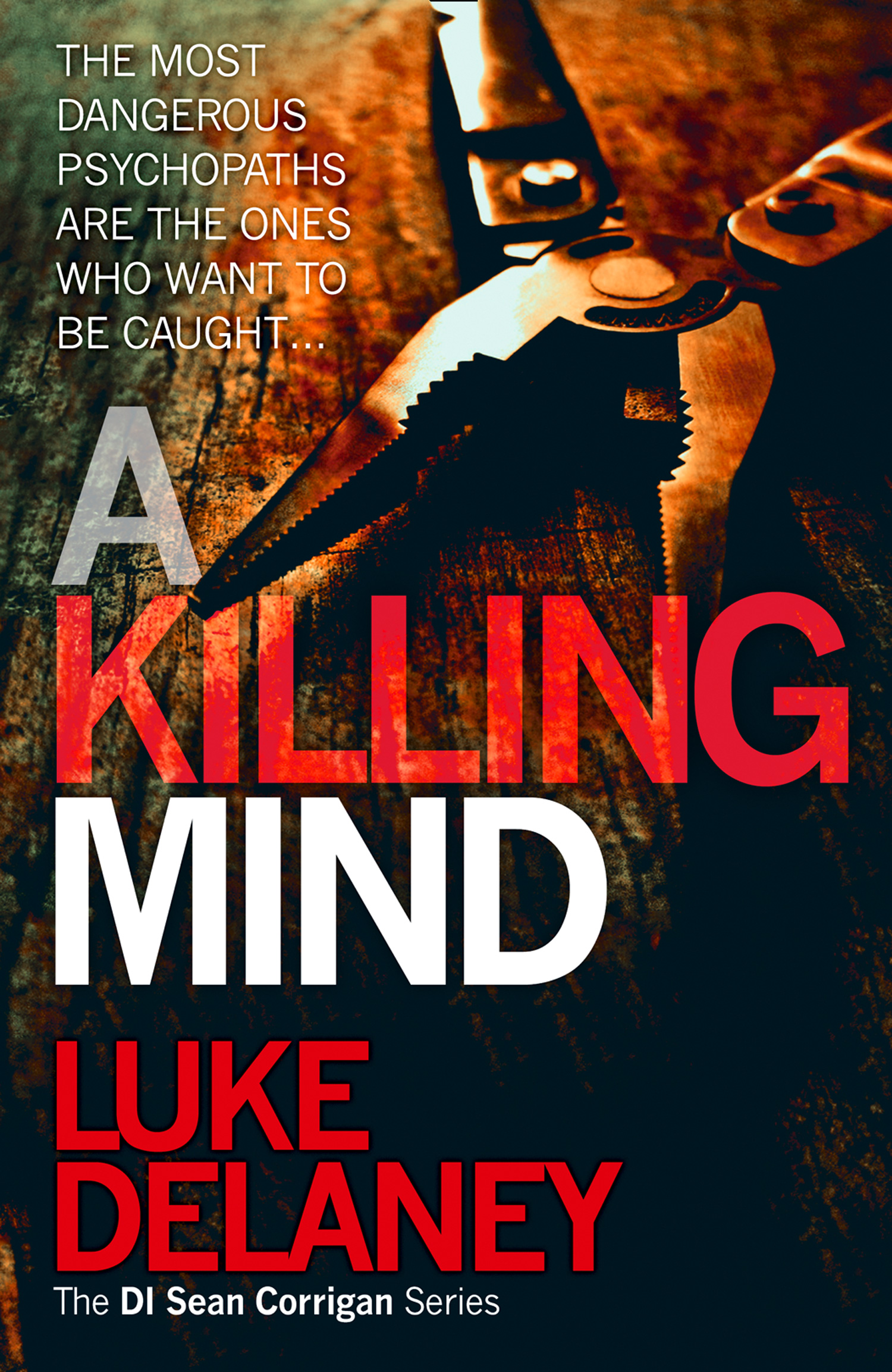Обложка книги «A Killing Mind»