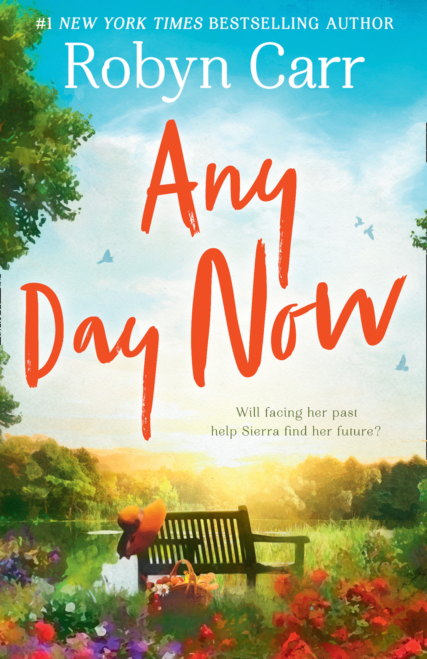 Обложка книги «Any Day Now»