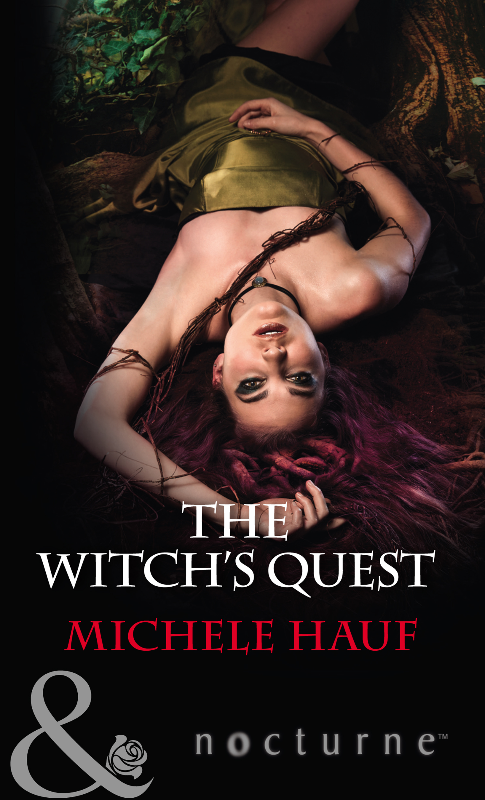 Обложка книги «The Witch's Quest»