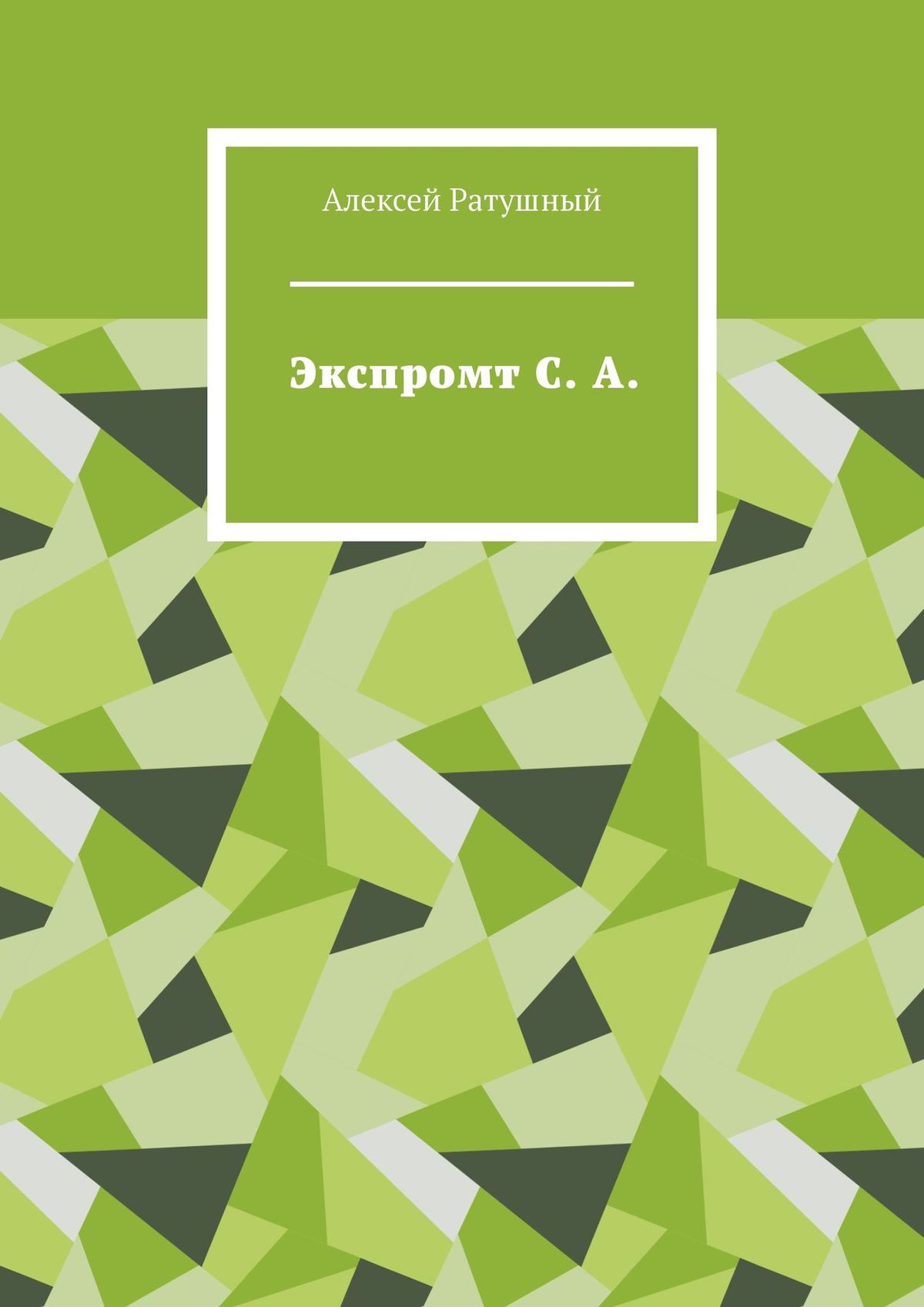 Обложка книги «Экспромт С. А.»
