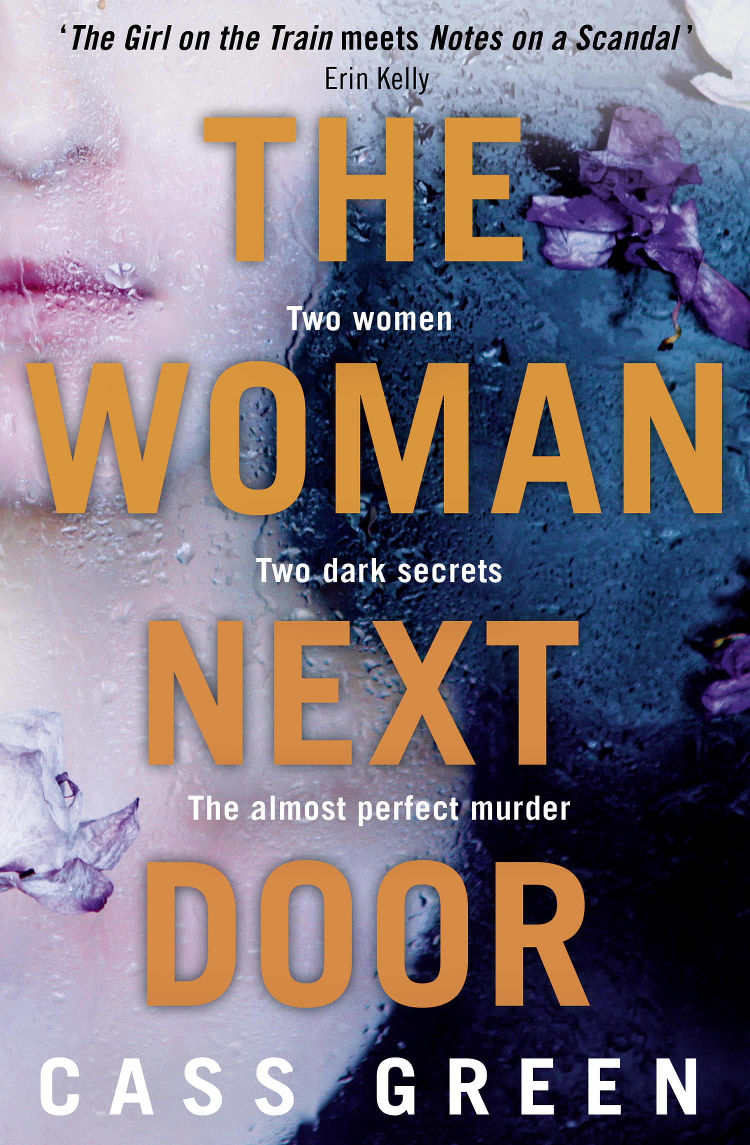 Обложка книги «The Woman Next Door»