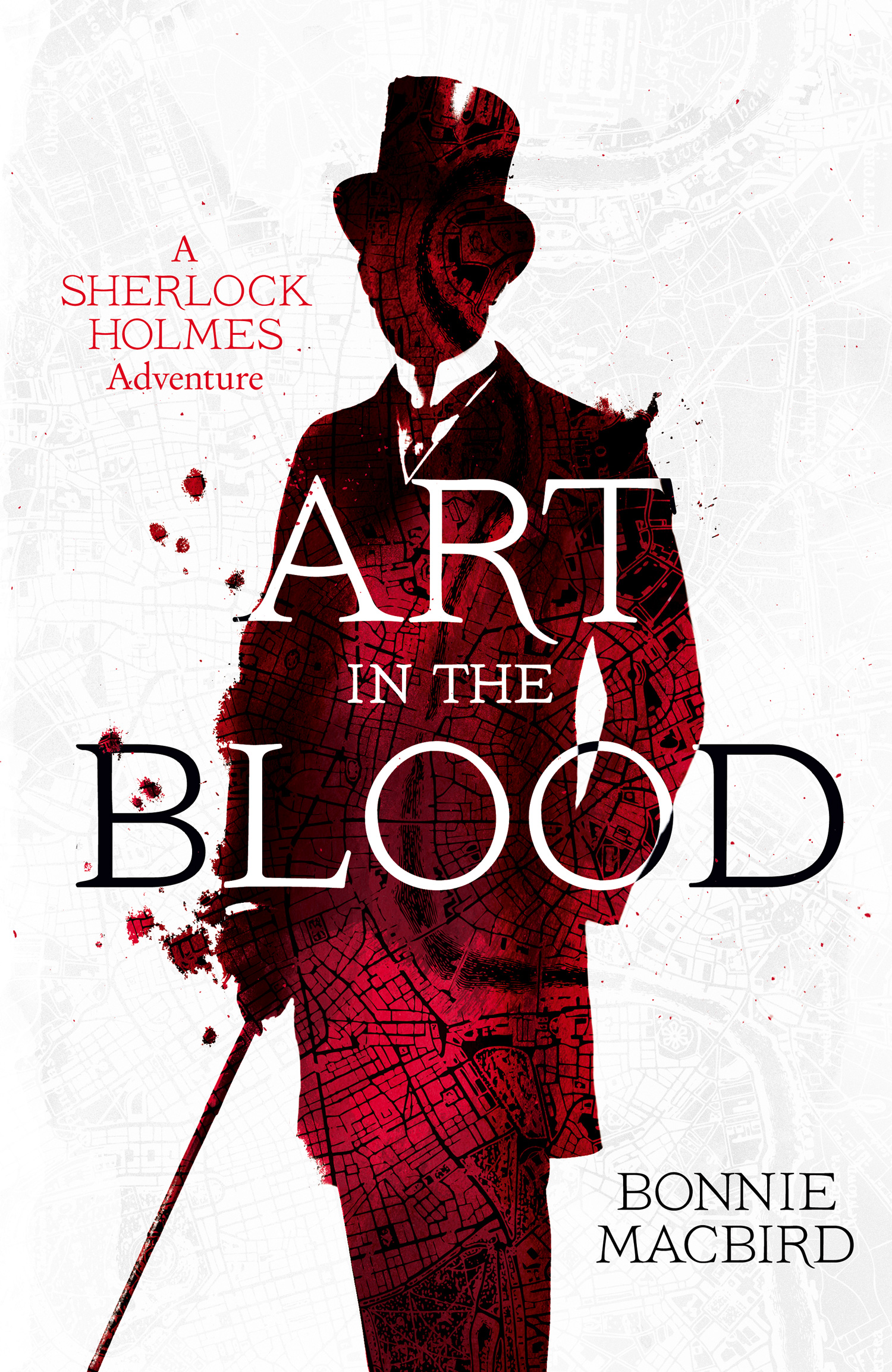 Обложка книги «A Sherlock Holmes Adventure»