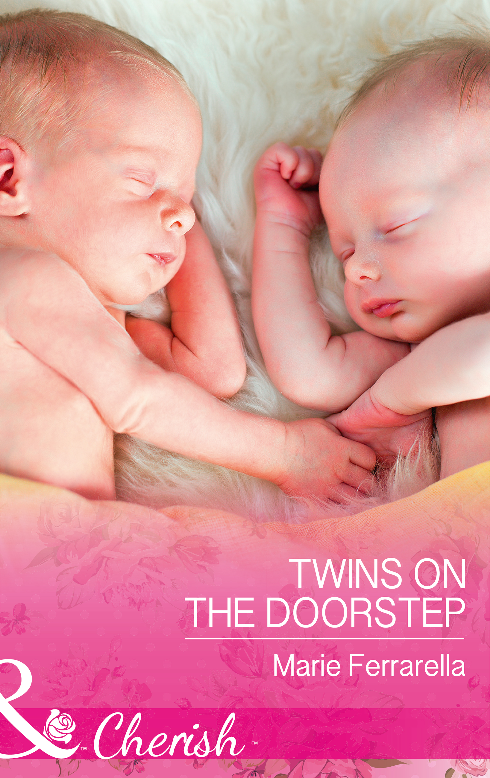 Обложка книги «Twins On The Doorstep»