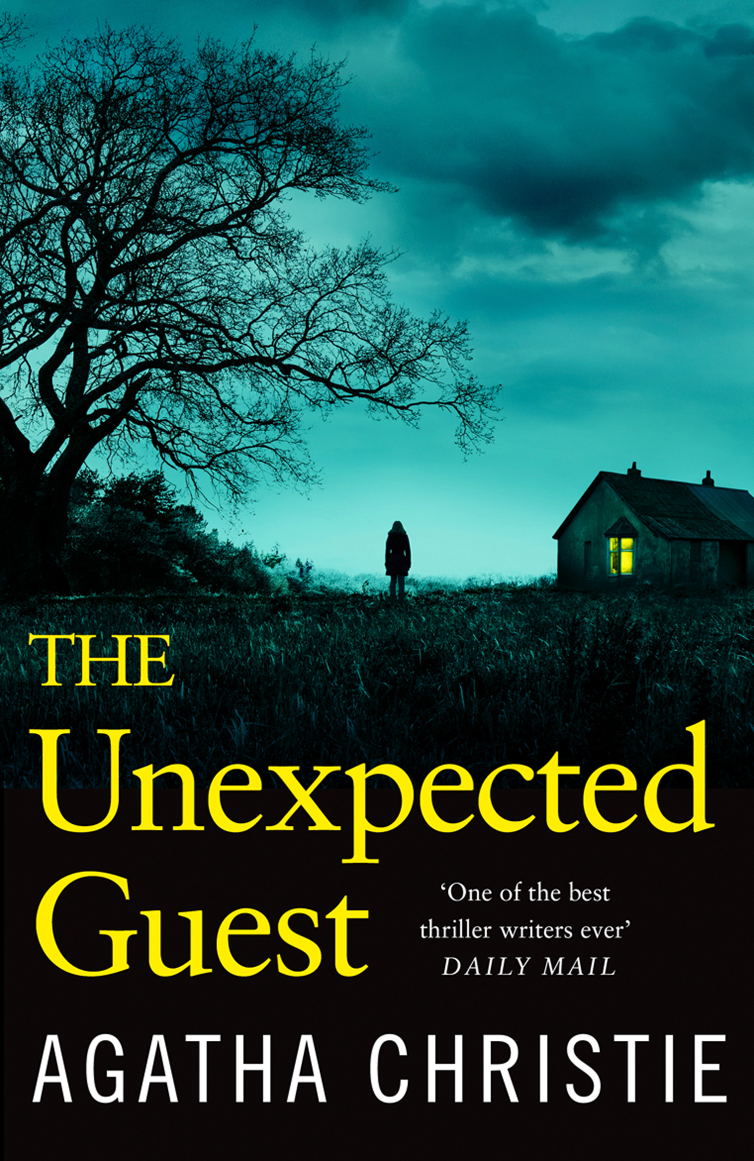 Обложка книги «The Unexpected Guest»
