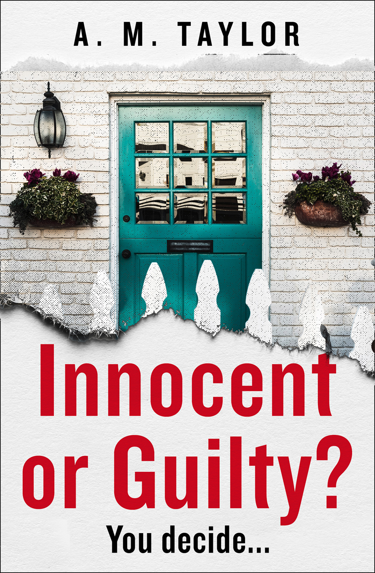 Обложка книги «Innocent or Guilty?»