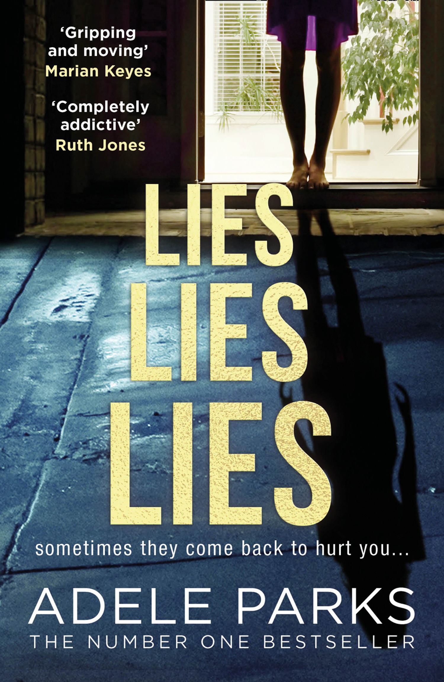 Обложка книги «Lies Lies Lies»