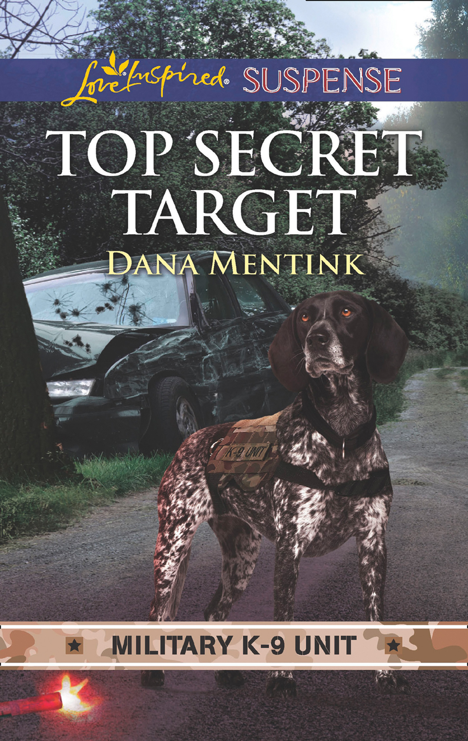 Обложка книги «Top Secret Target»