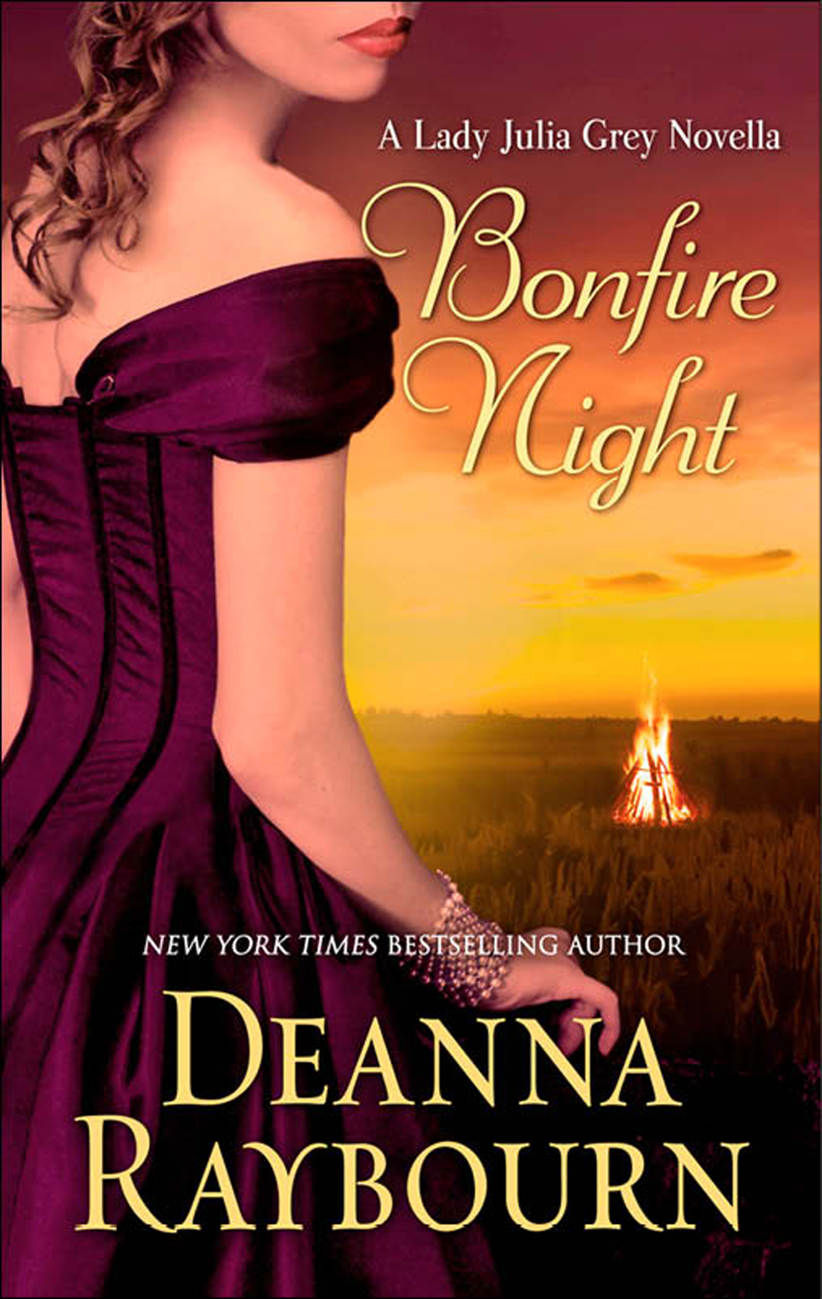 Обложка книги «Bonfire Night»