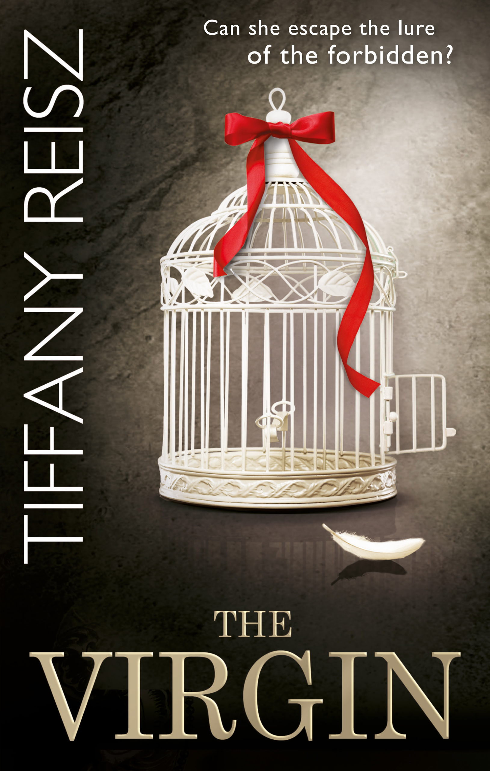 Обложка книги «The Virgin»