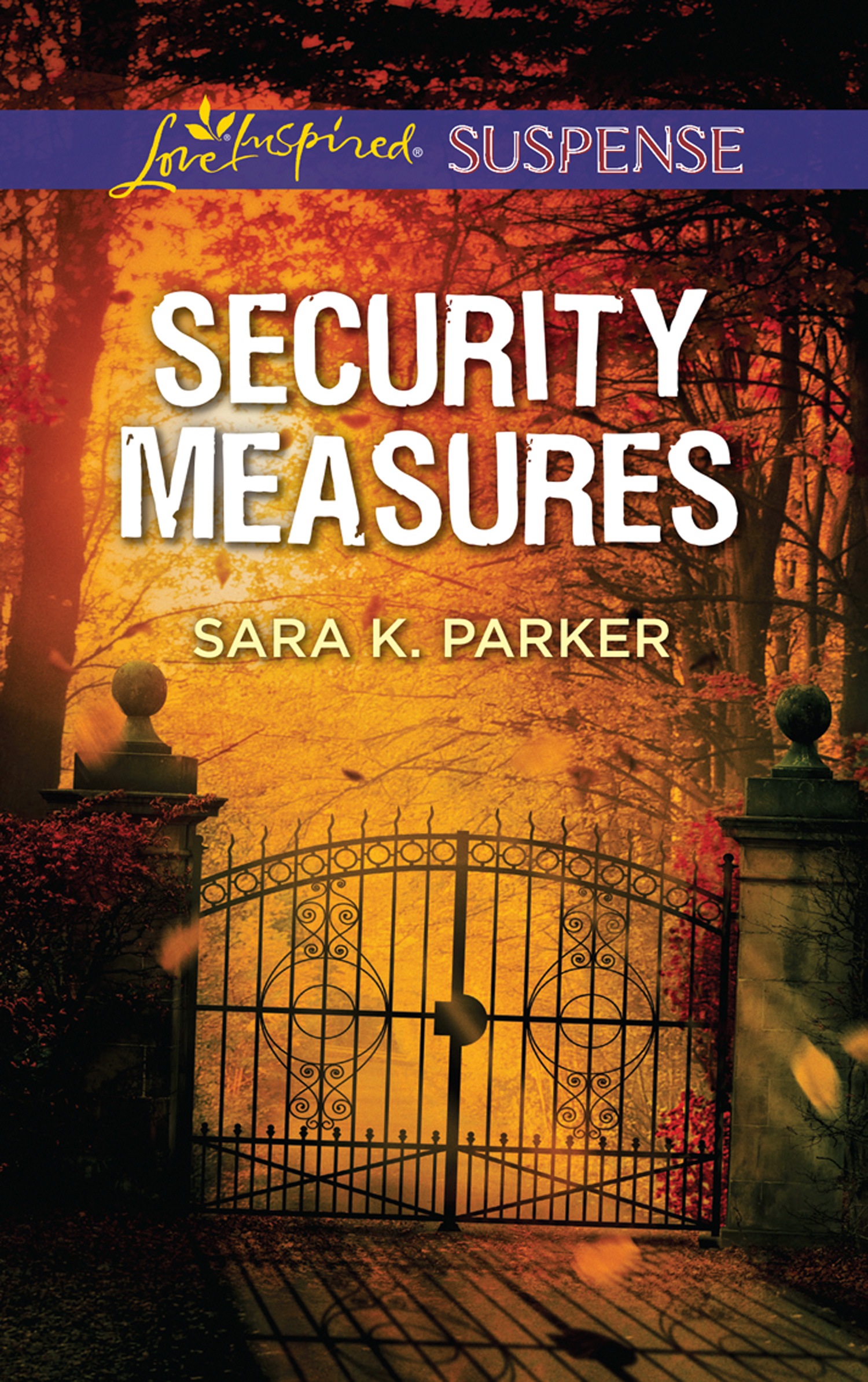 Обложка книги «Security Measures»