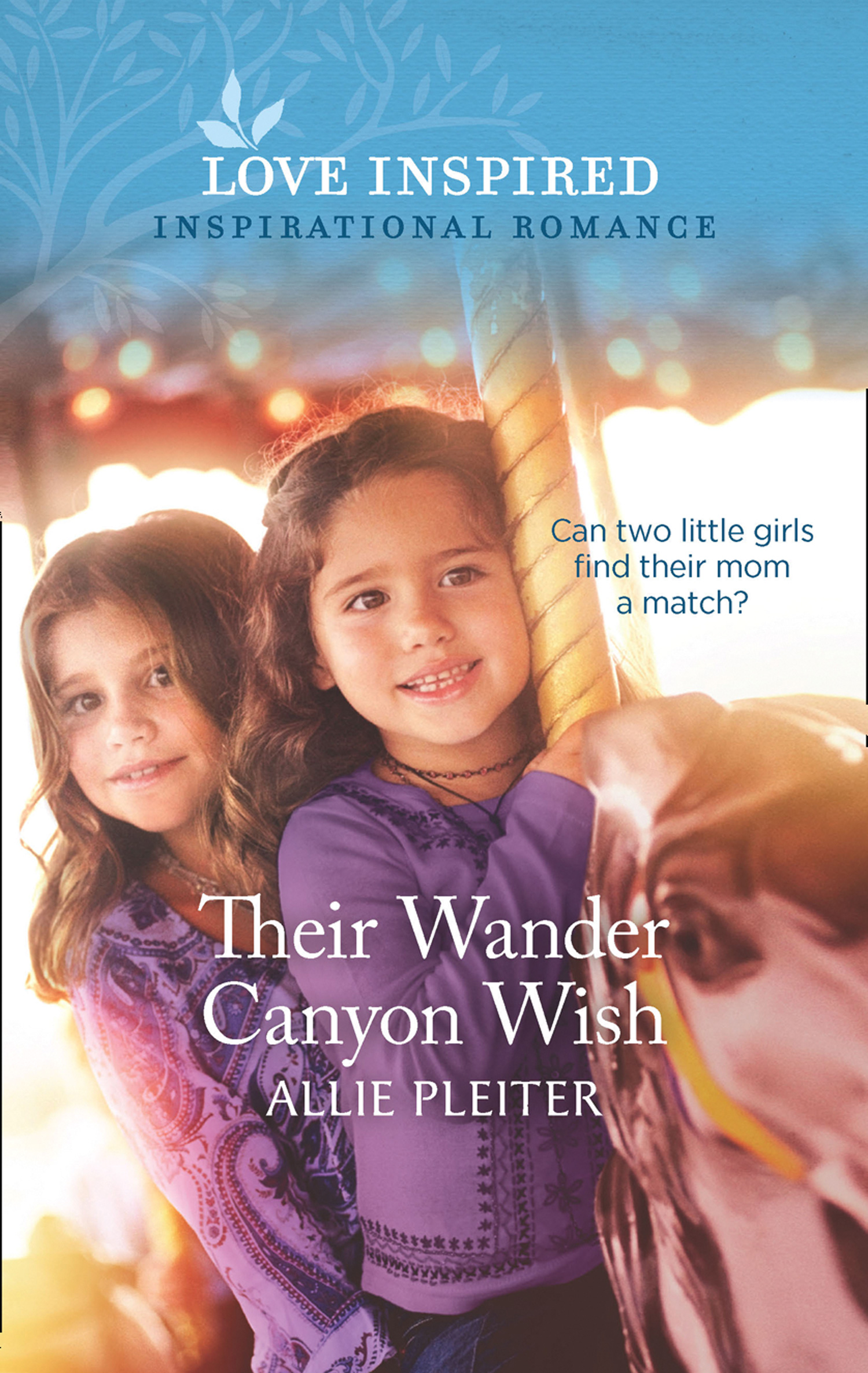 Обложка книги «Their Wander Canyon Wish»