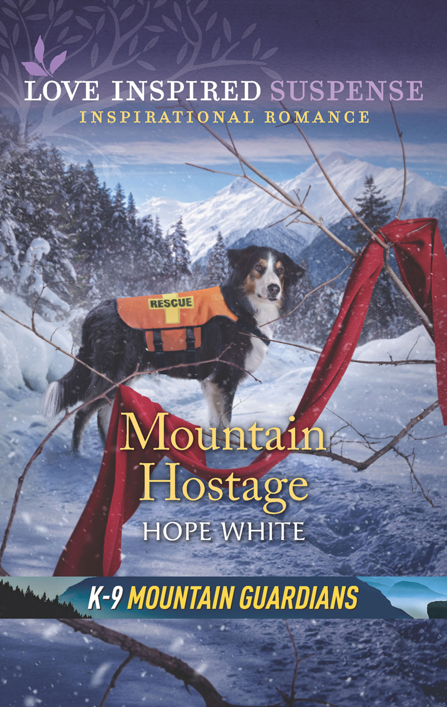 Обложка книги «Mountain Hostage»