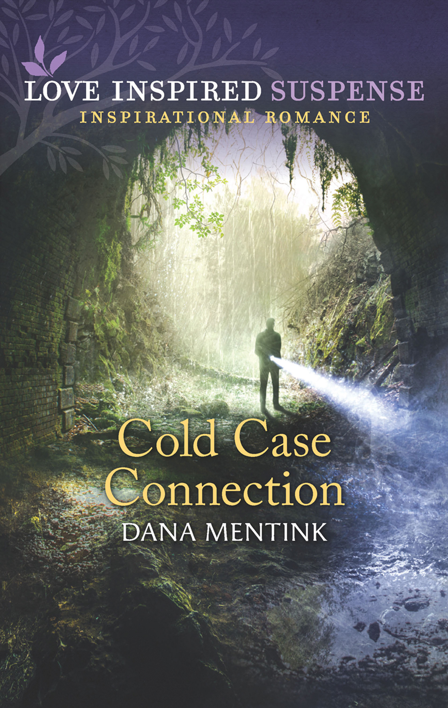 Обложка книги «Cold Case Connection»
