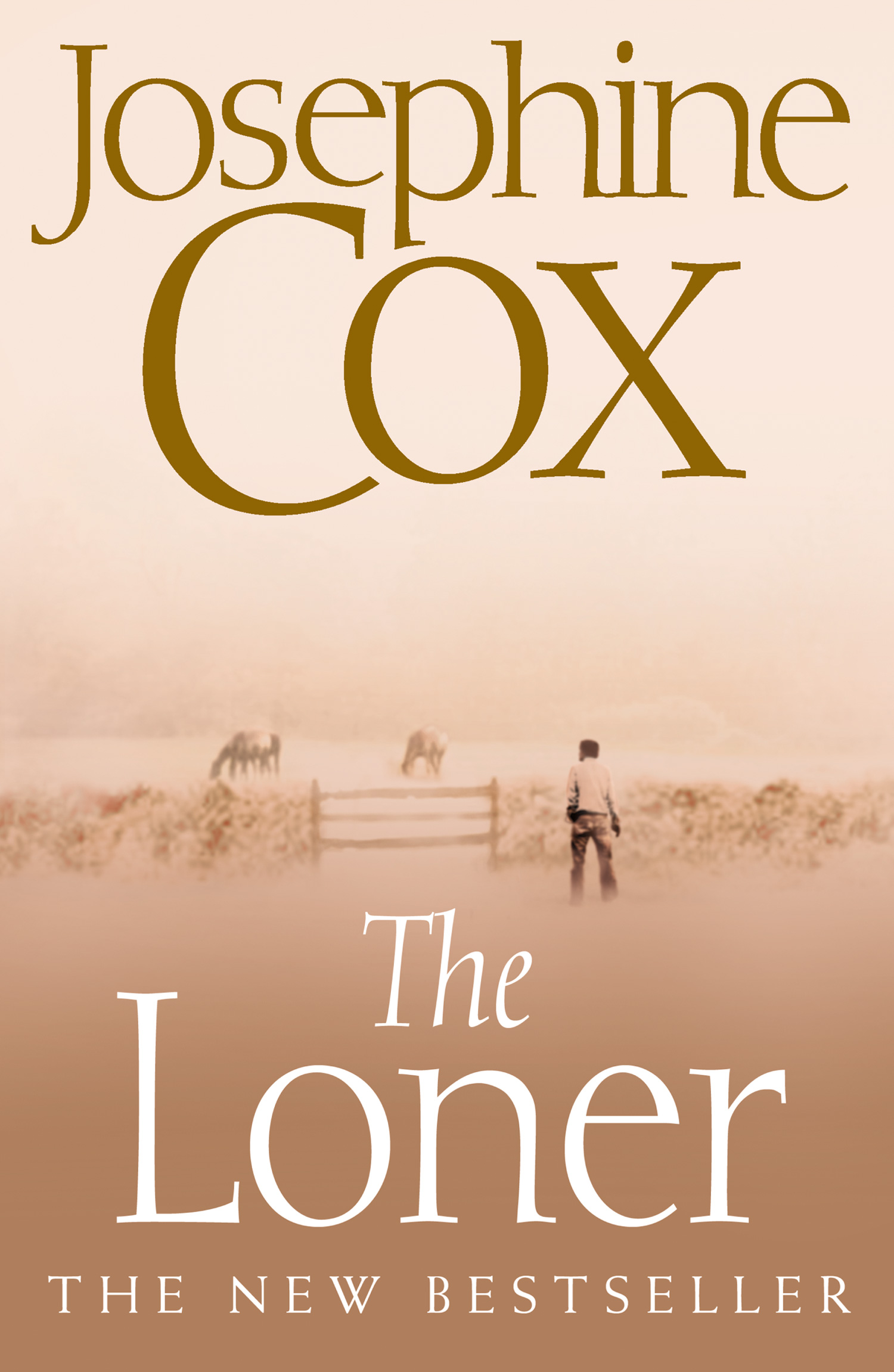 Обложка книги «The Loner»