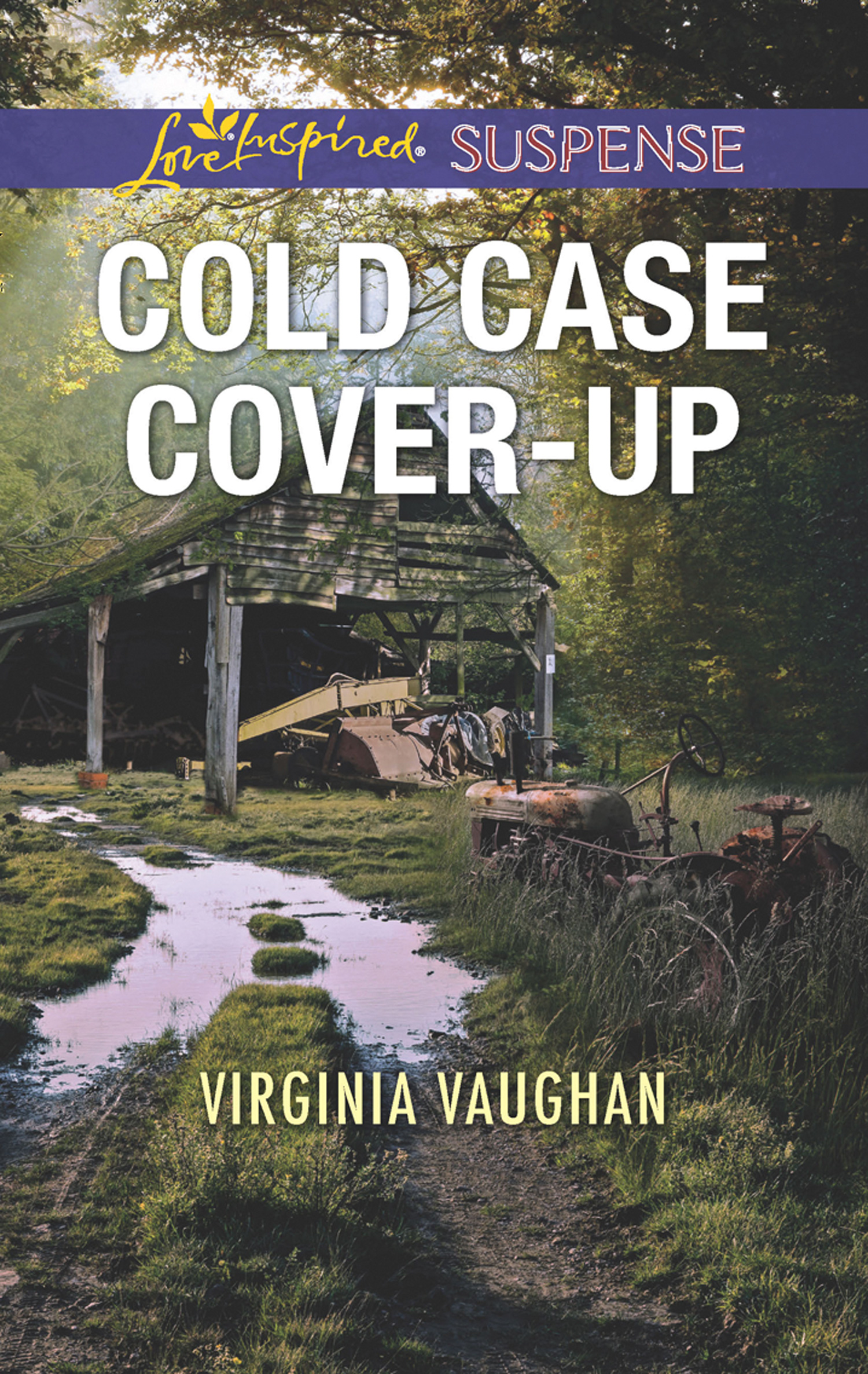 Обложка книги «Cold Case Cover-Up»