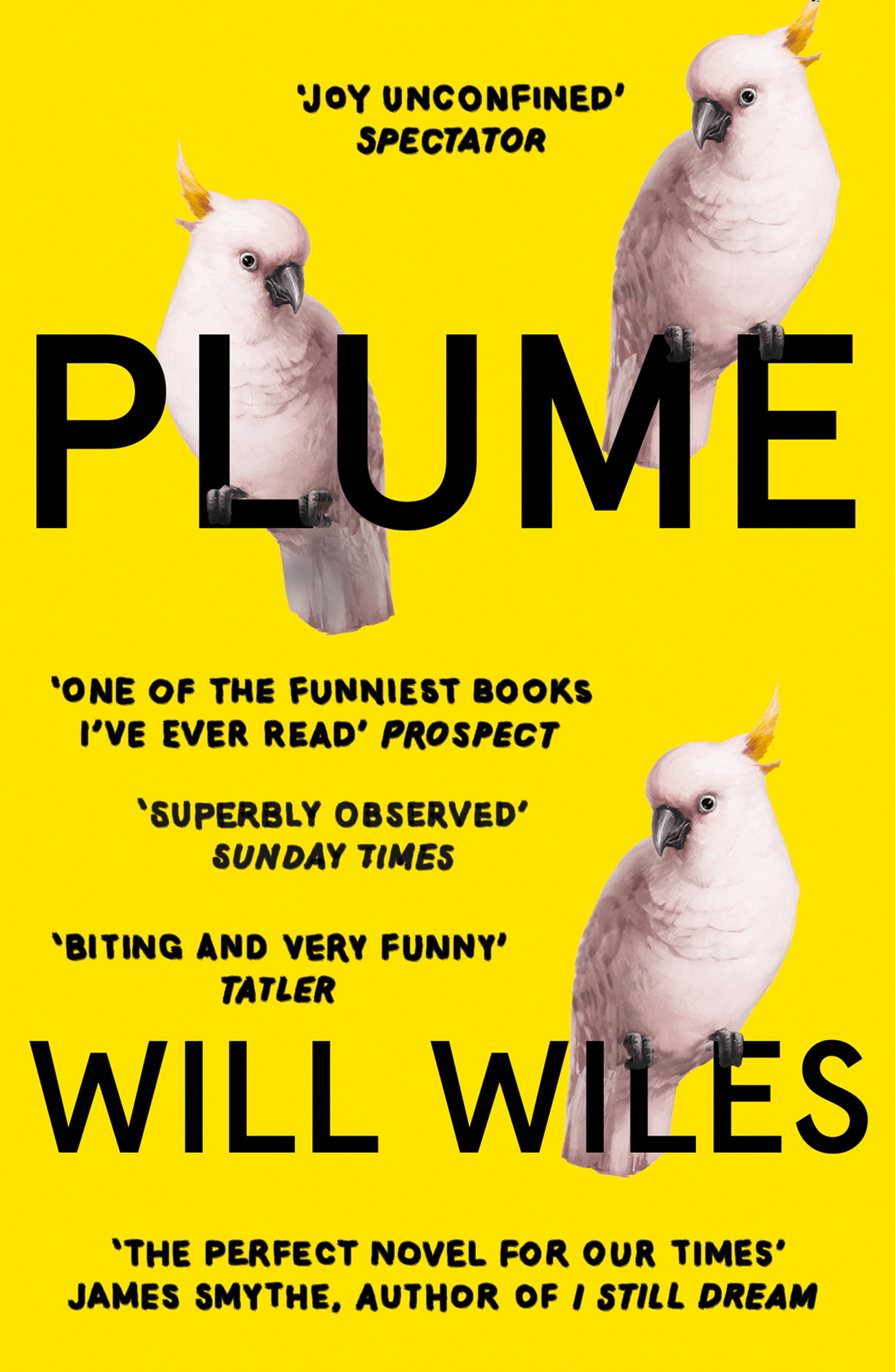 Обложка книги «Plume»