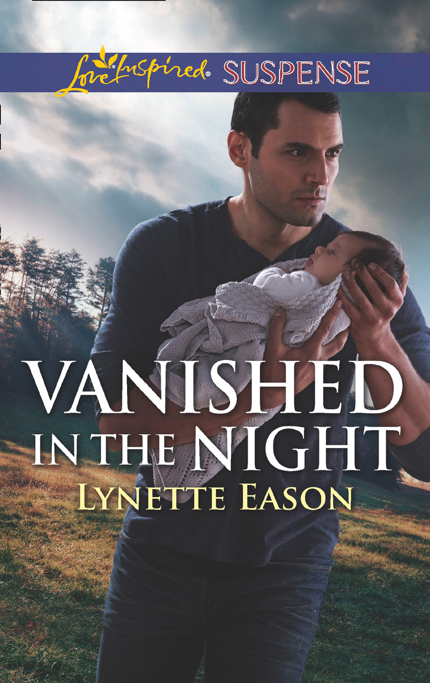 Обложка книги «Vanished In The Night»