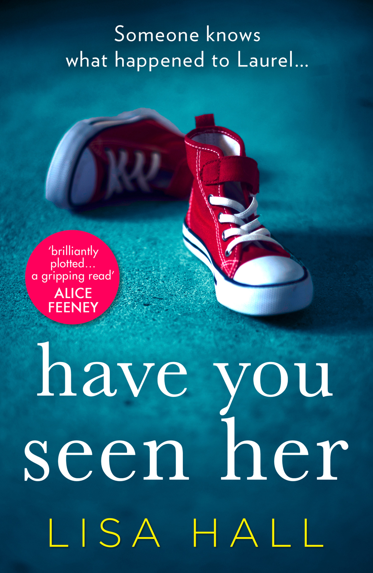 Обложка книги «Have You Seen Her»