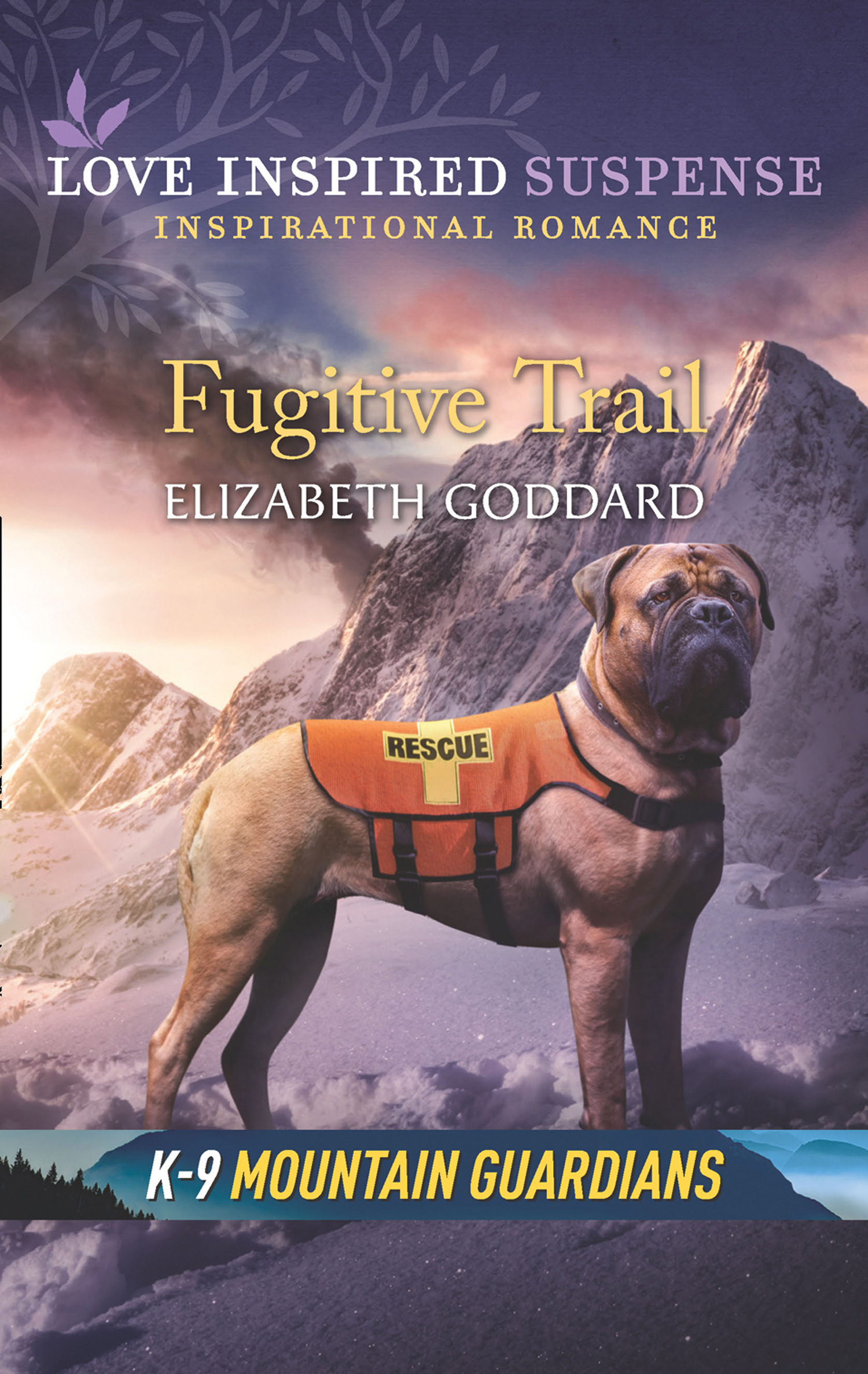 Обложка книги «Fugitive Trail»