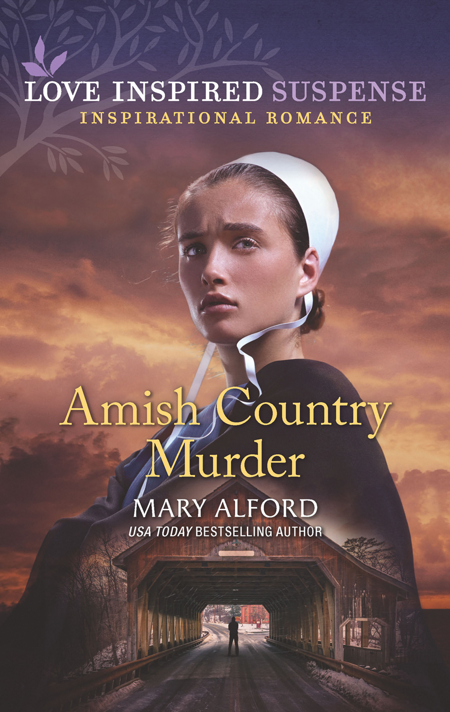 Обложка книги «Amish Country Murder»