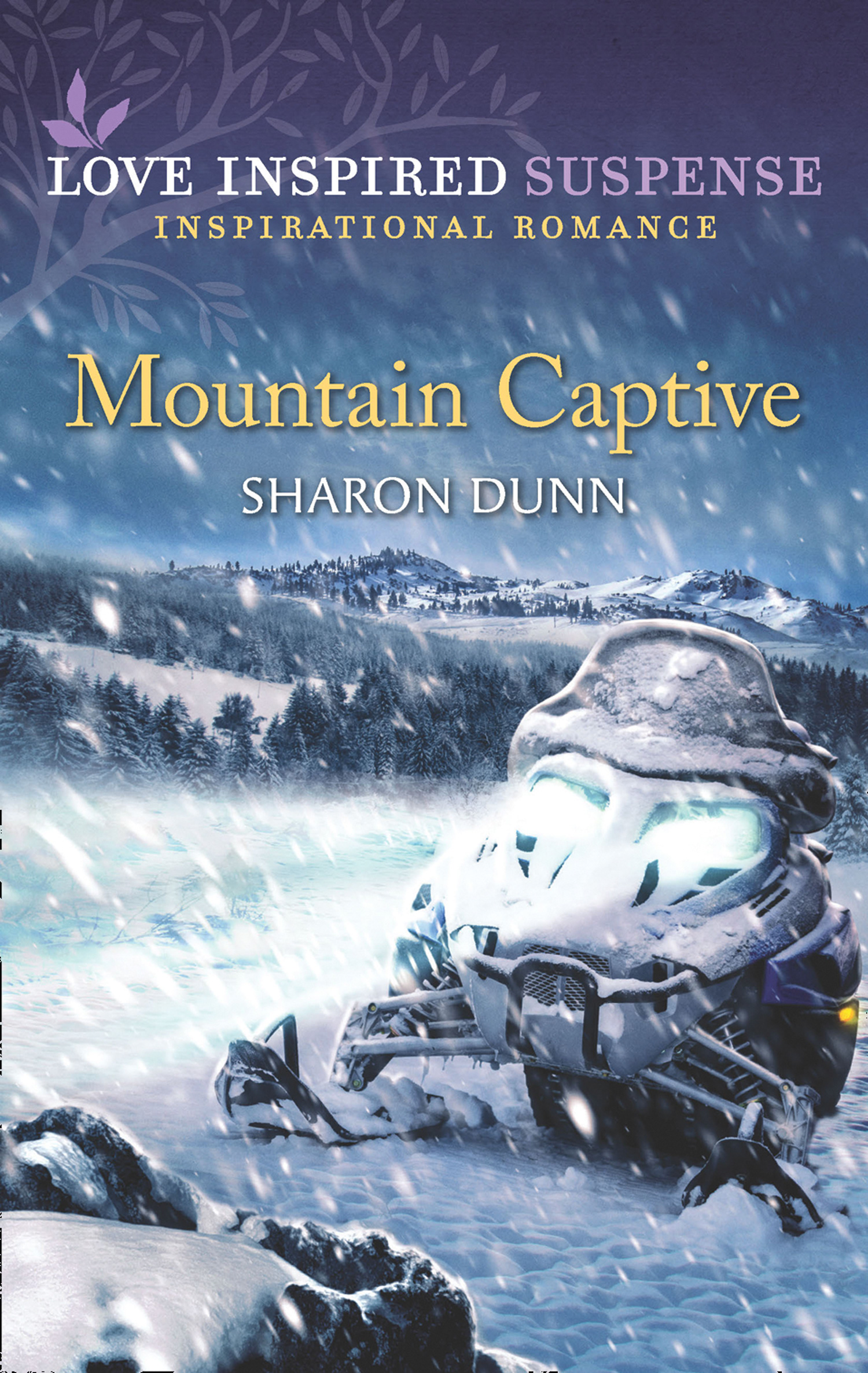 Обложка книги «Mountain Captive»