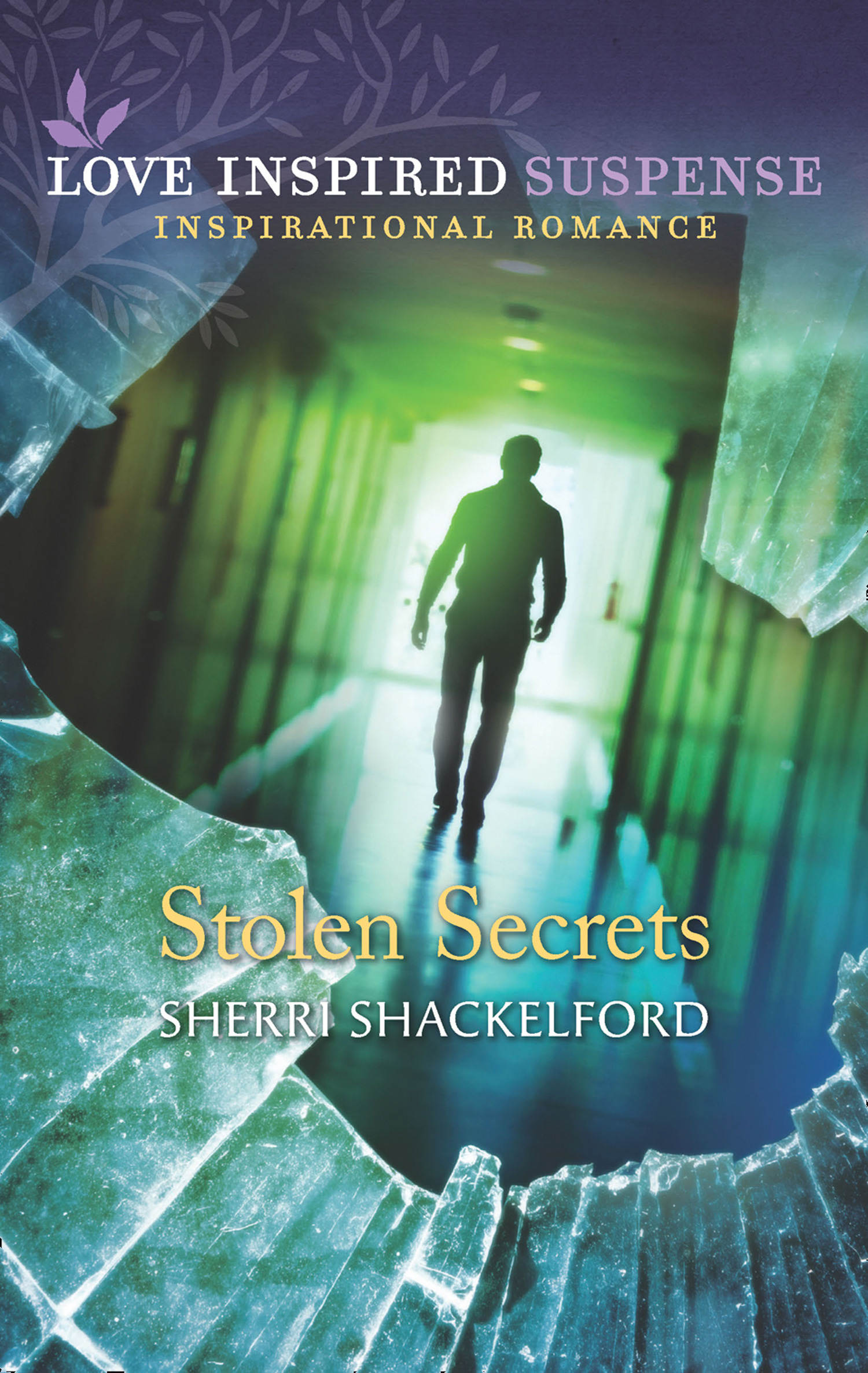 Обложка книги «Stolen Secrets»