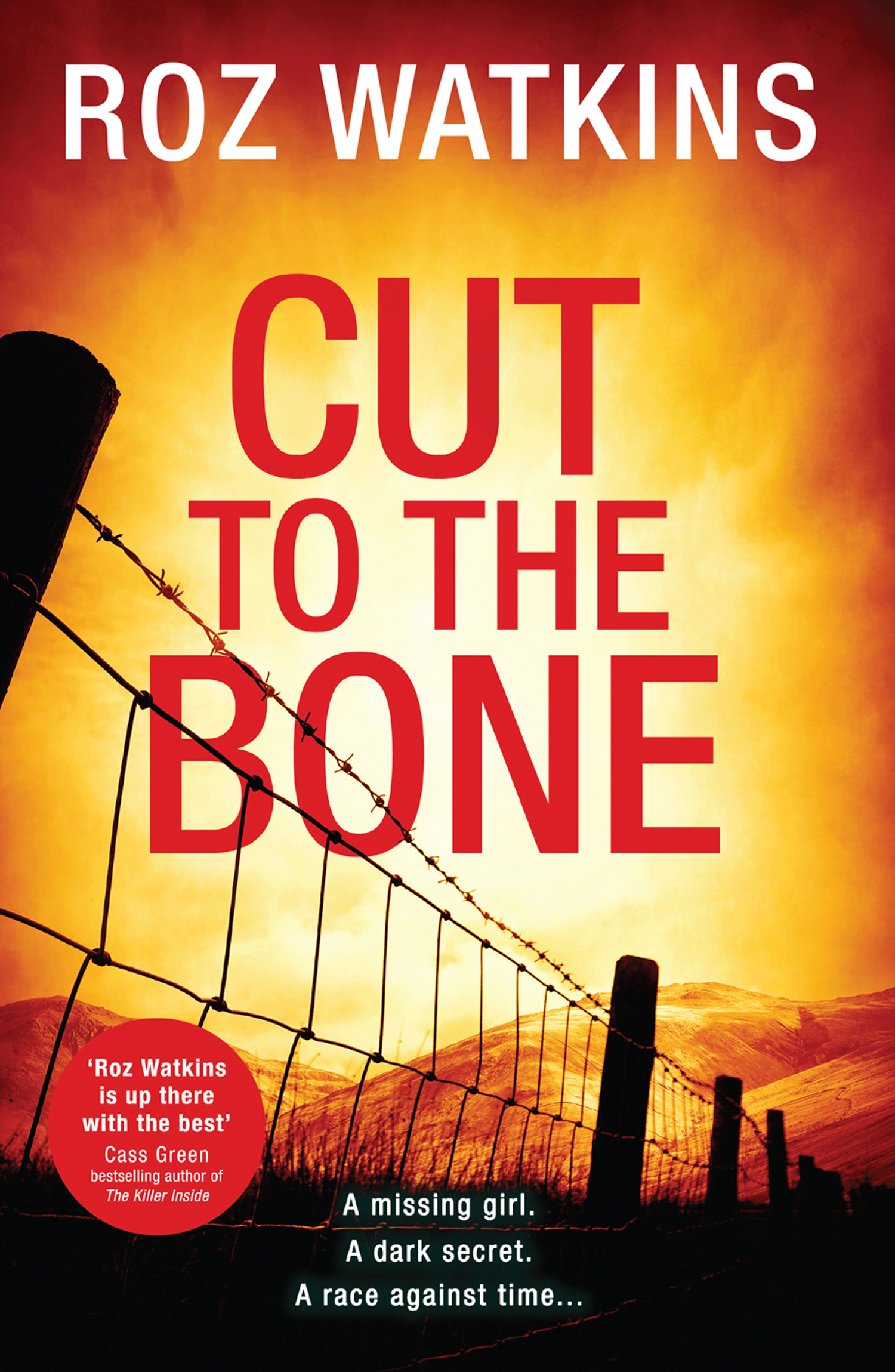 Обложка книги «Cut to the Bone»