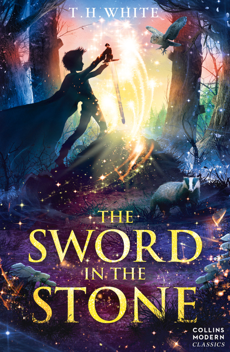 Обложка книги «The Sword in the Stone»