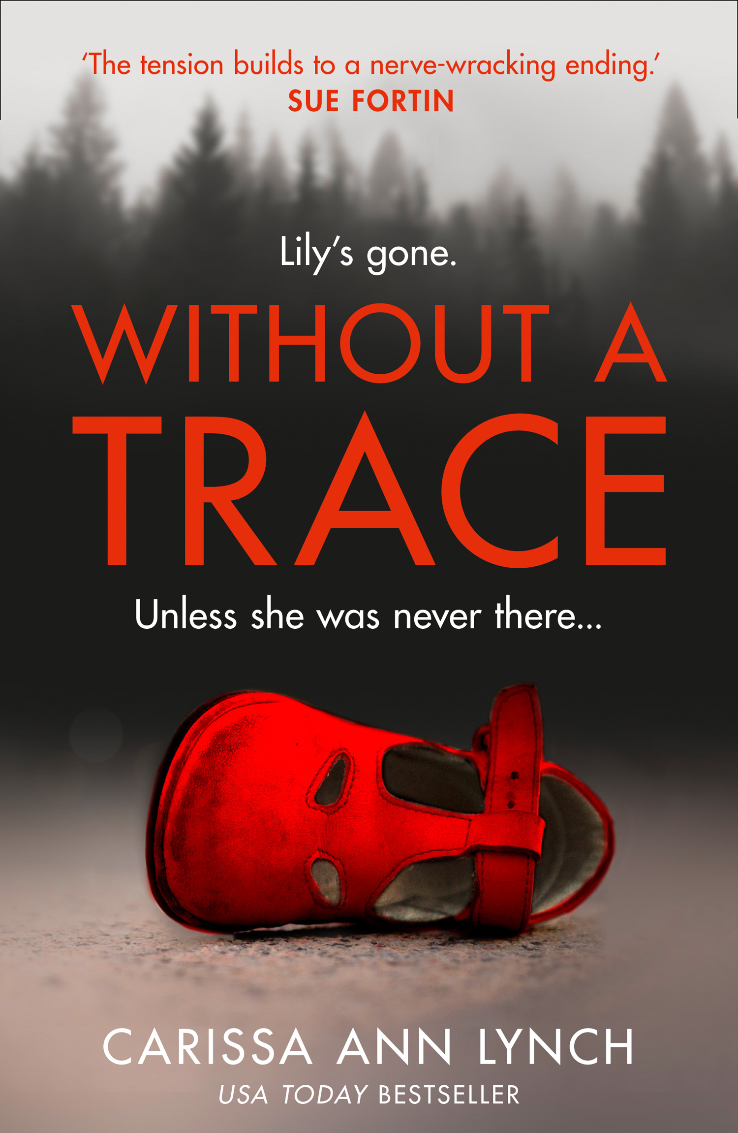 Обложка книги «Without a Trace»
