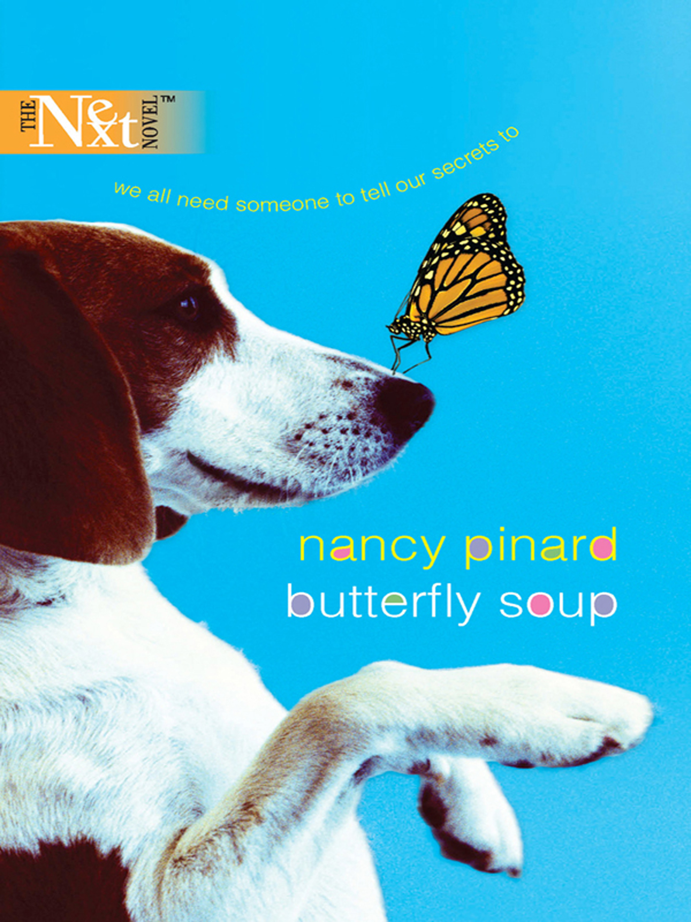 Обложка книги «Butterfly Soup»