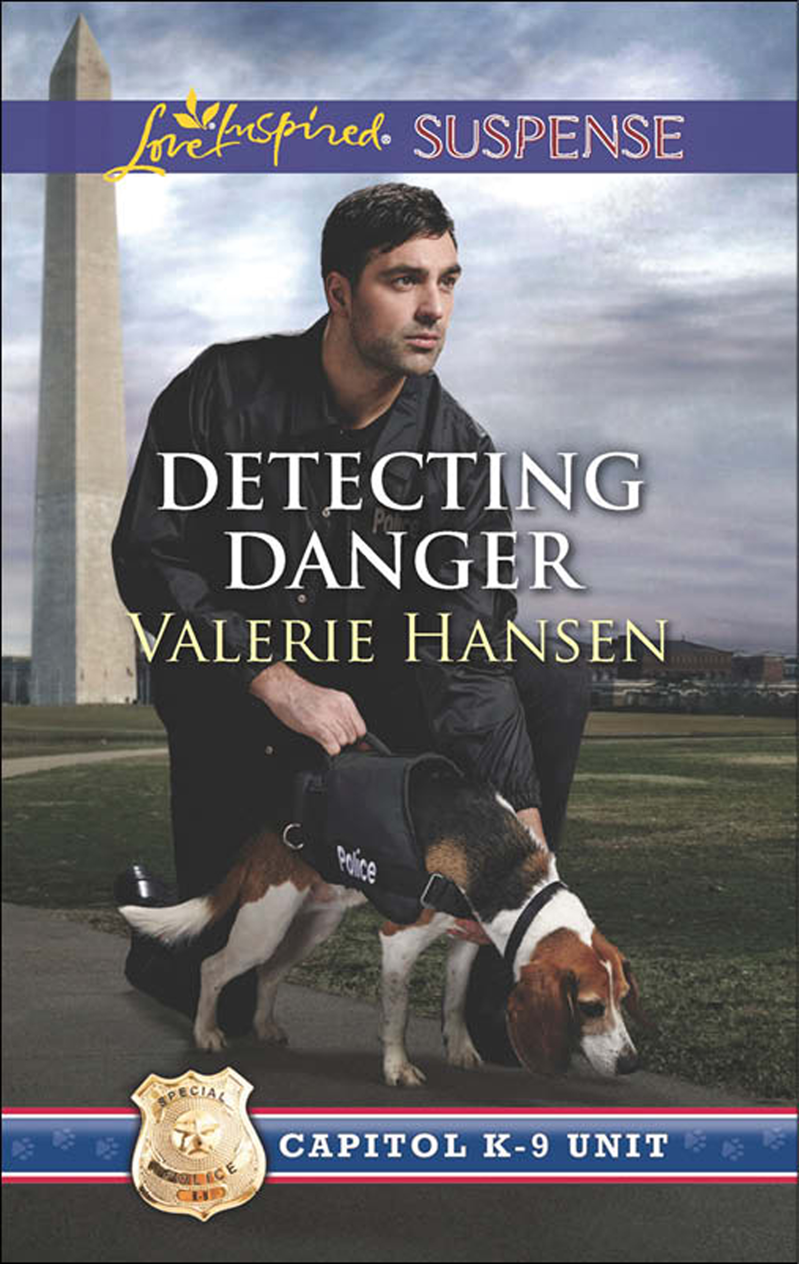 Обложка книги «Detecting Danger»