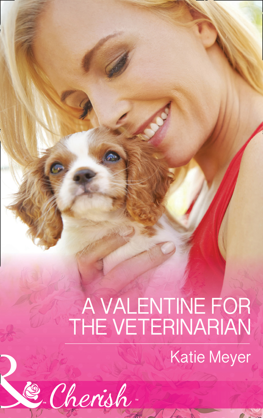 Обложка книги «A Valentine For The Veterinarian»
