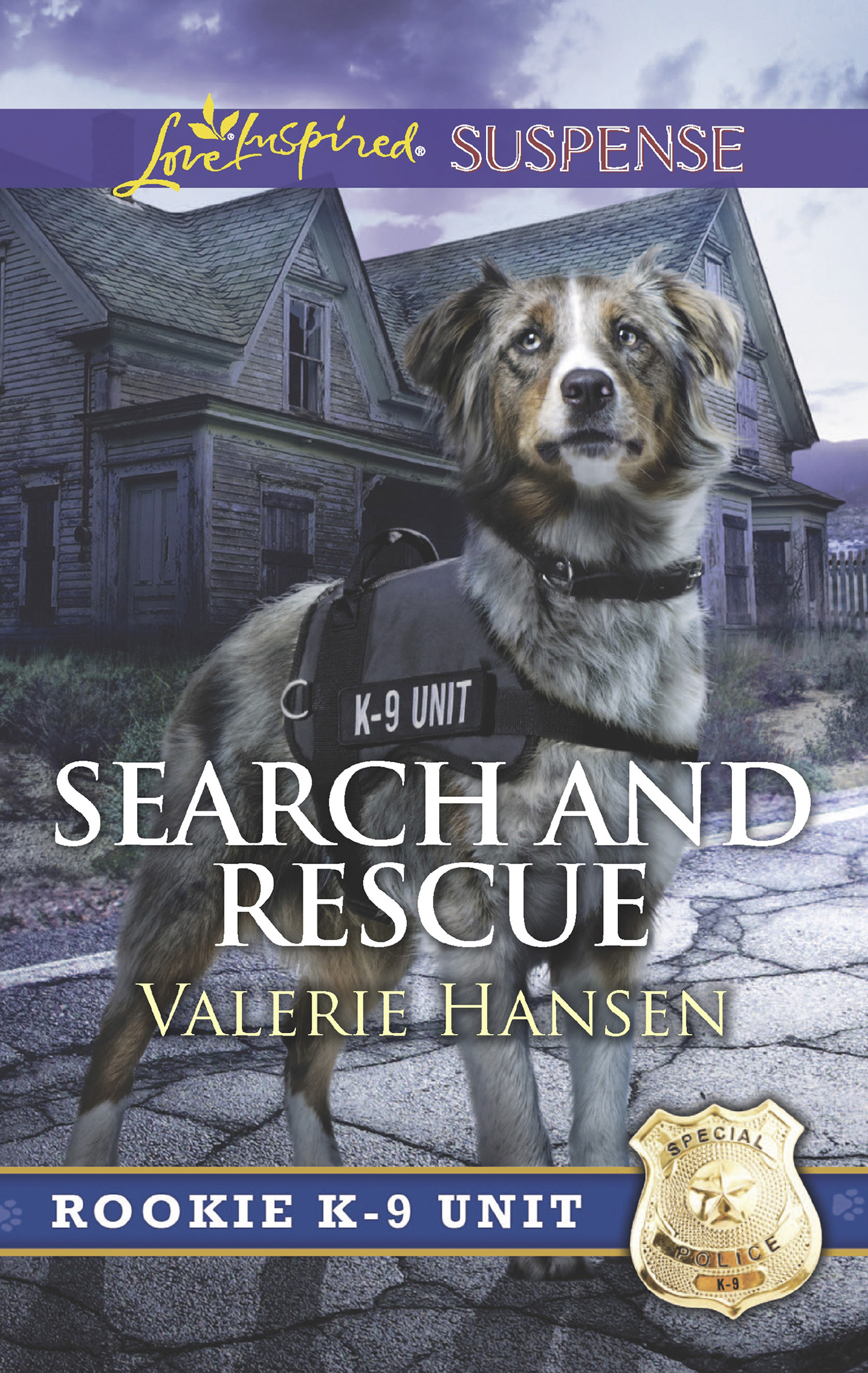 Обложка книги «Search And Rescue»