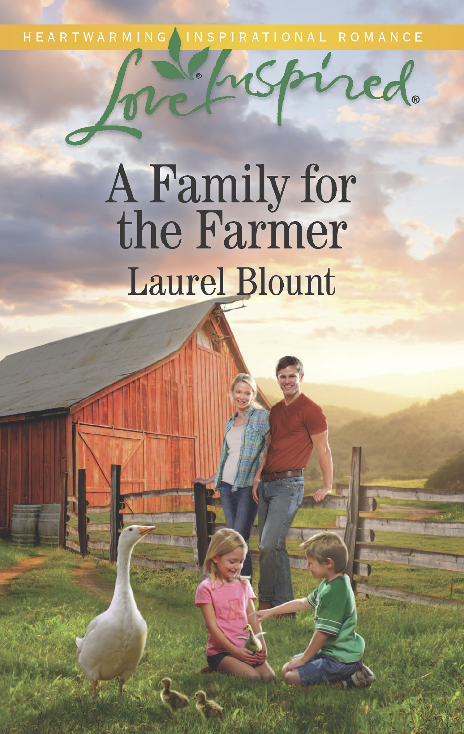 Обложка книги «A Family For The Farmer»