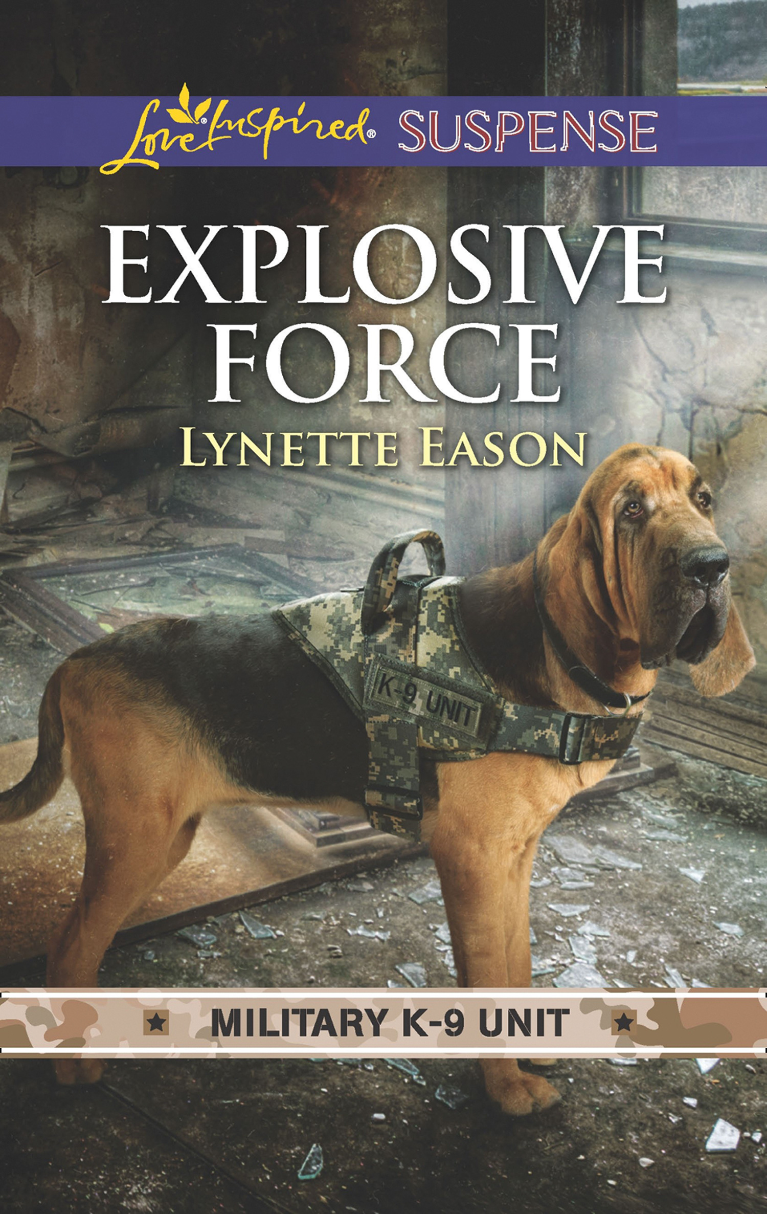 Обложка книги «Explosive Force»