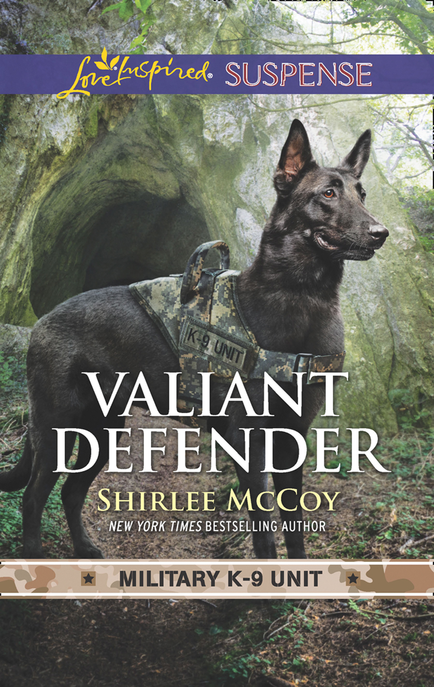 Обложка книги «Valiant Defender»